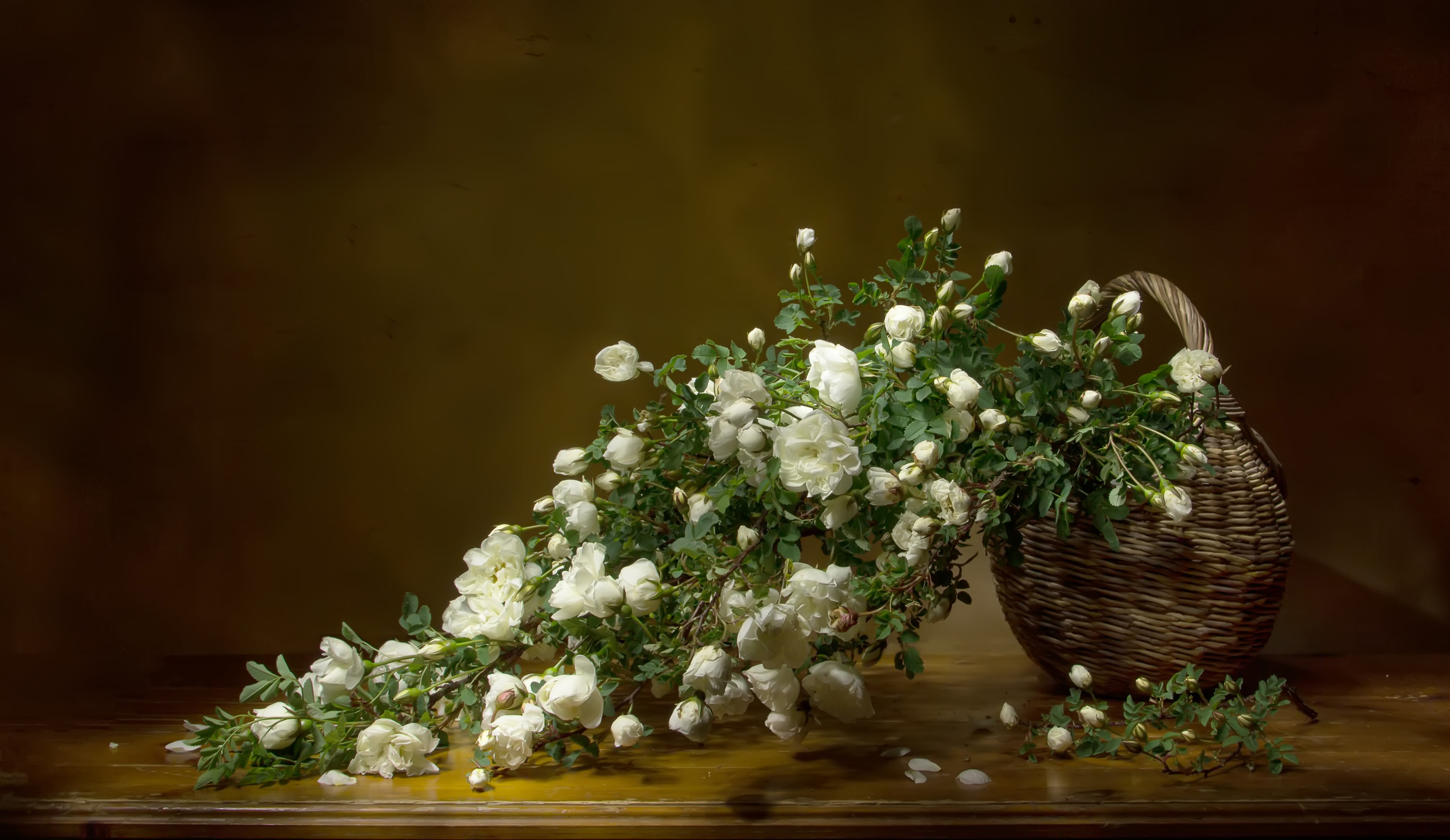 basket, Татьяна Феденкова, briar, white, 4K, background, HD Wallpaper