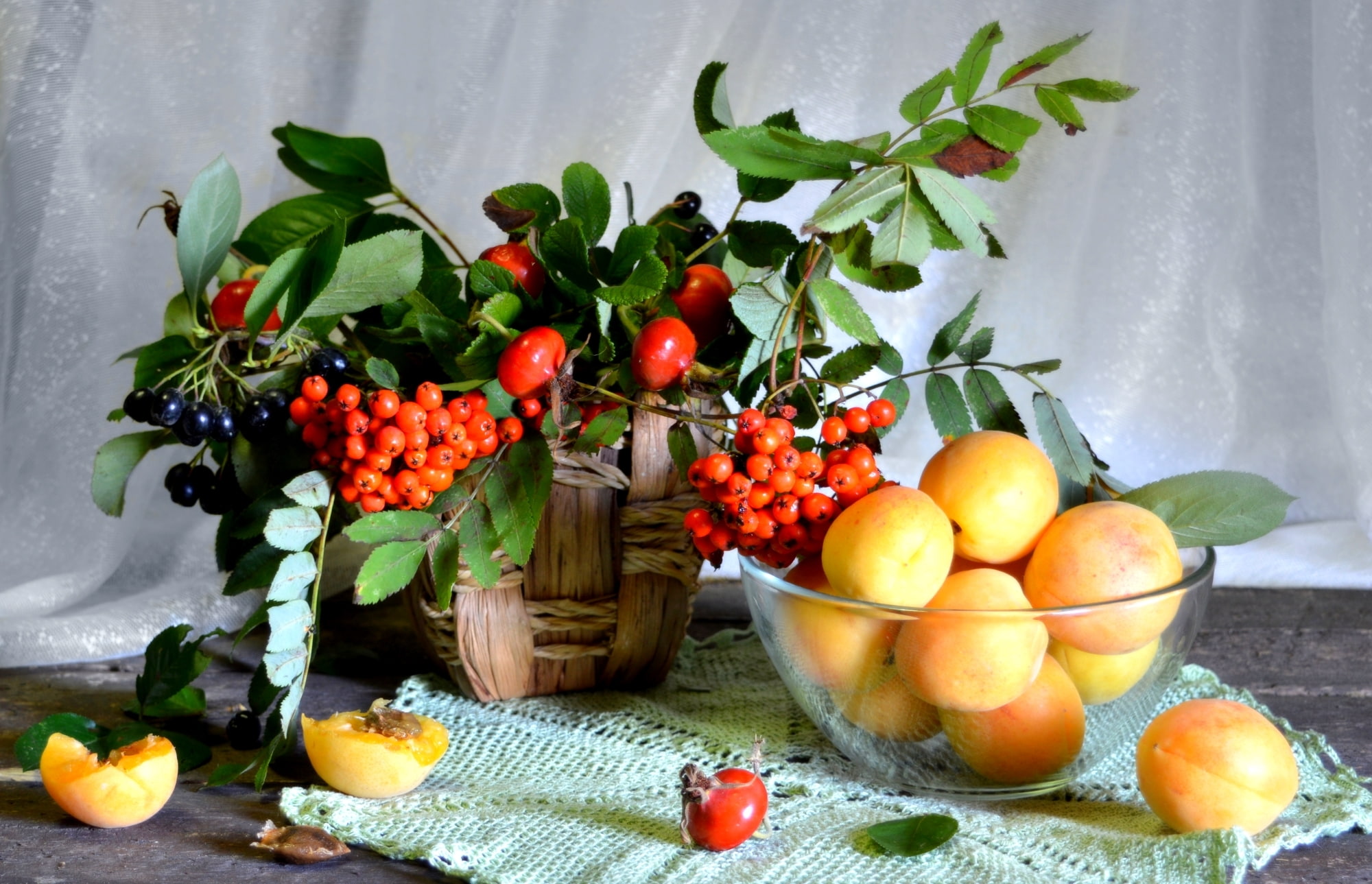 1080P, apricot, briar, Rowan, still life, Aronia, HD Wallpaper
