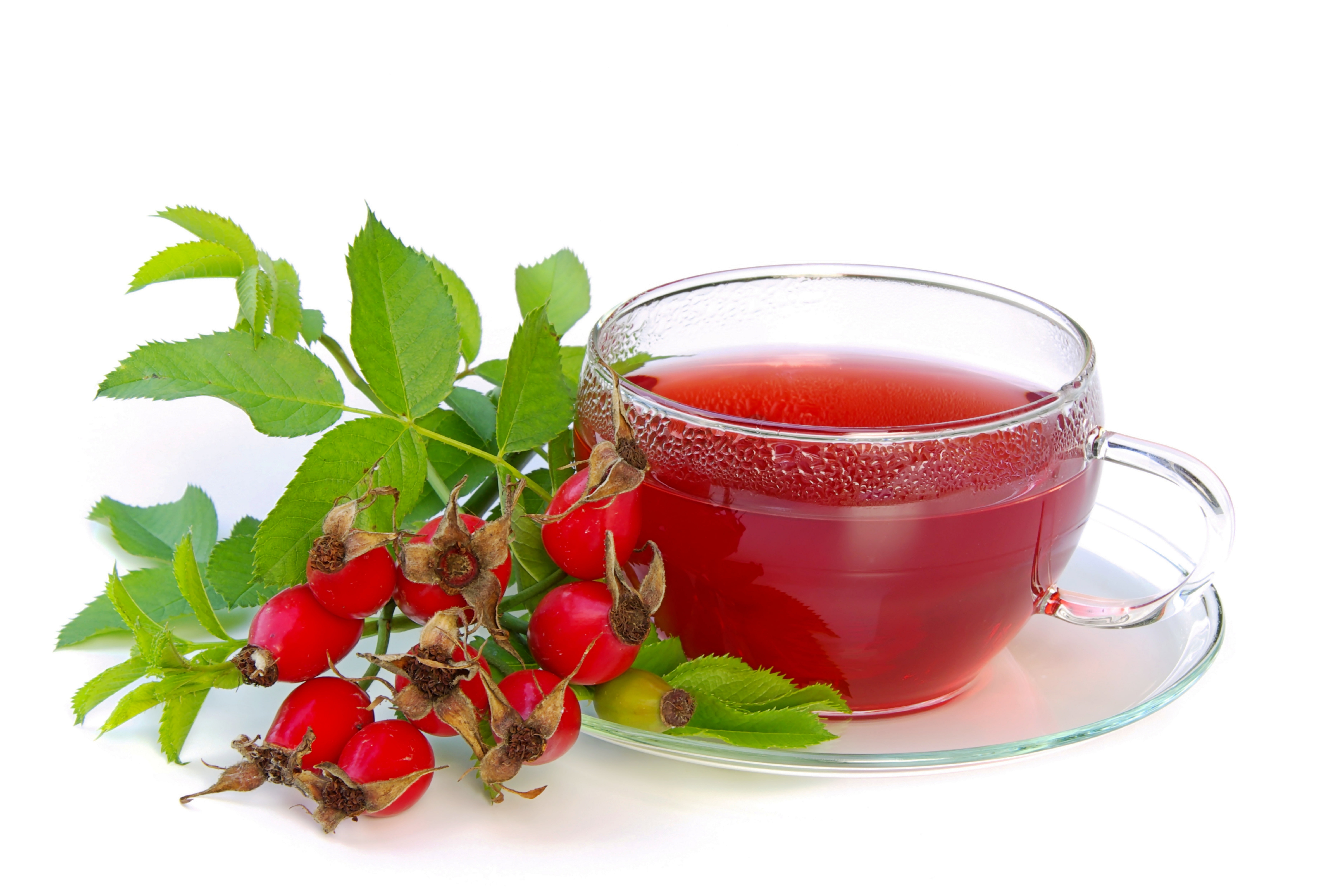 5K, leaves, rose, white background, tea, Cup, briar, saucer, hip, HD Wallpaper