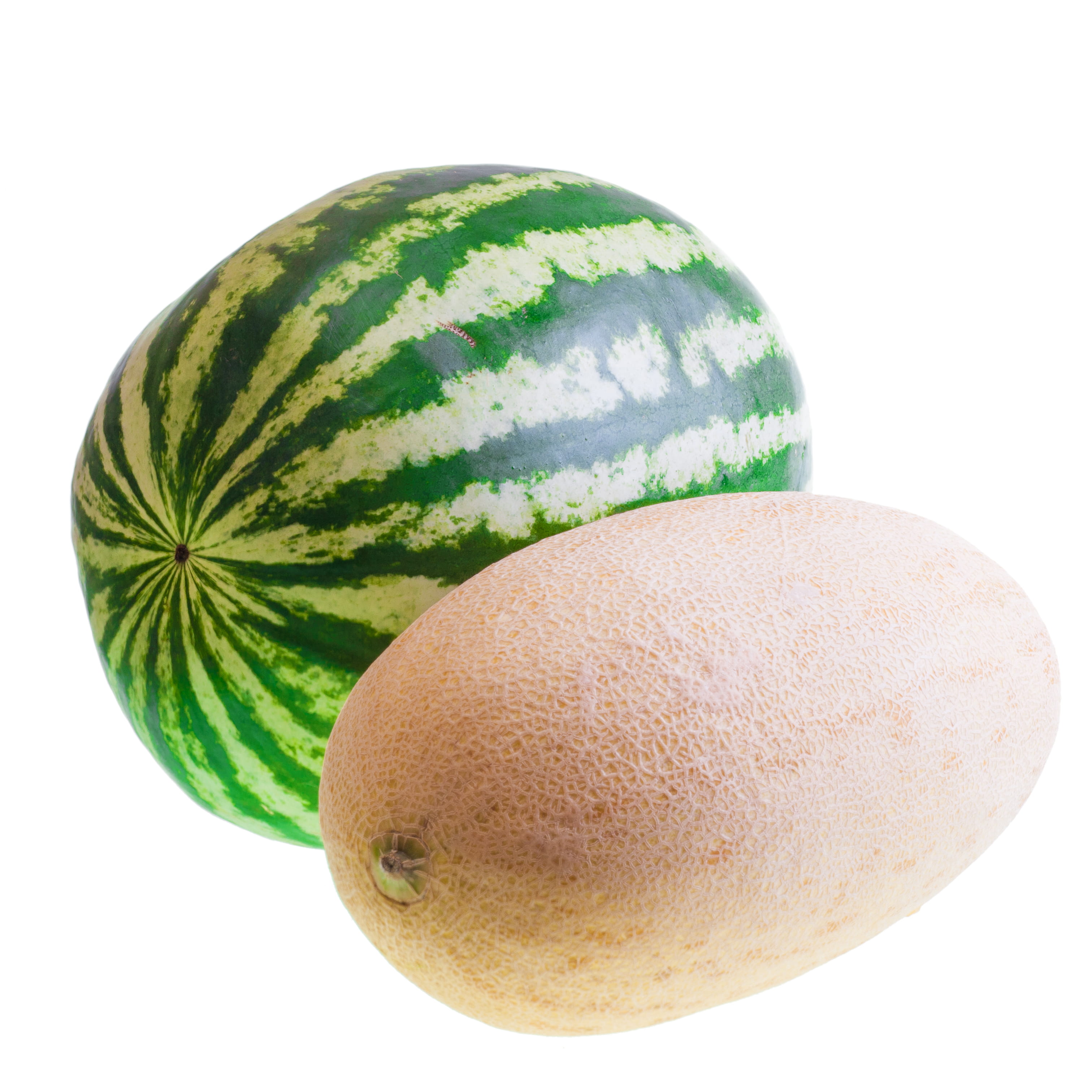 slice, eatinghealthy, cantaloupe, refreshment, indoors, eat, copy space, nutrition, healthyfood, isolated, close-up, temptation, studio shot, freshness, Phone HD Wallpaper