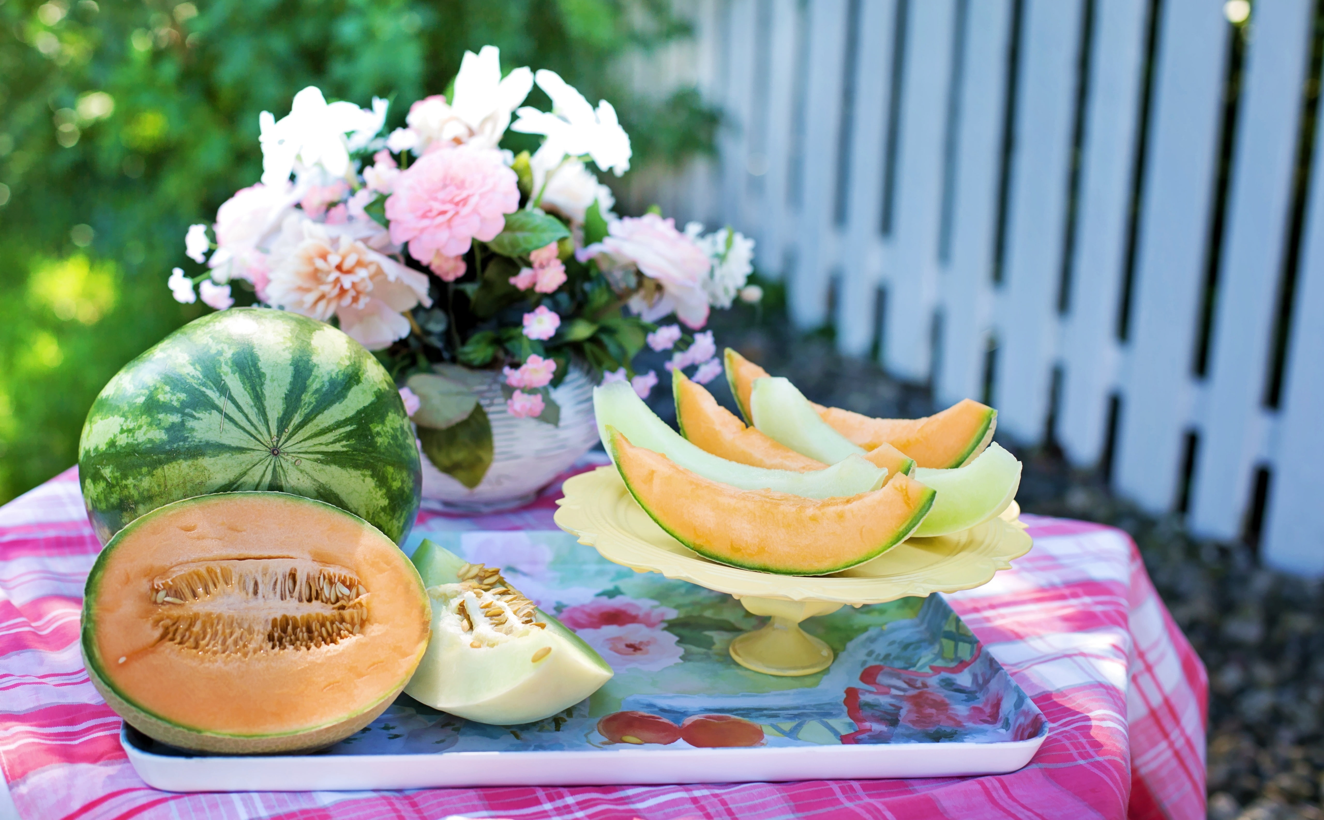 nature, Fence, organic, green, refreshing, table, slice, melon, wellbeing, Sweet, Natural, Cute, plant, delicious, Outdoors, flower head, 5K, melons, flower, HD Wallpaper