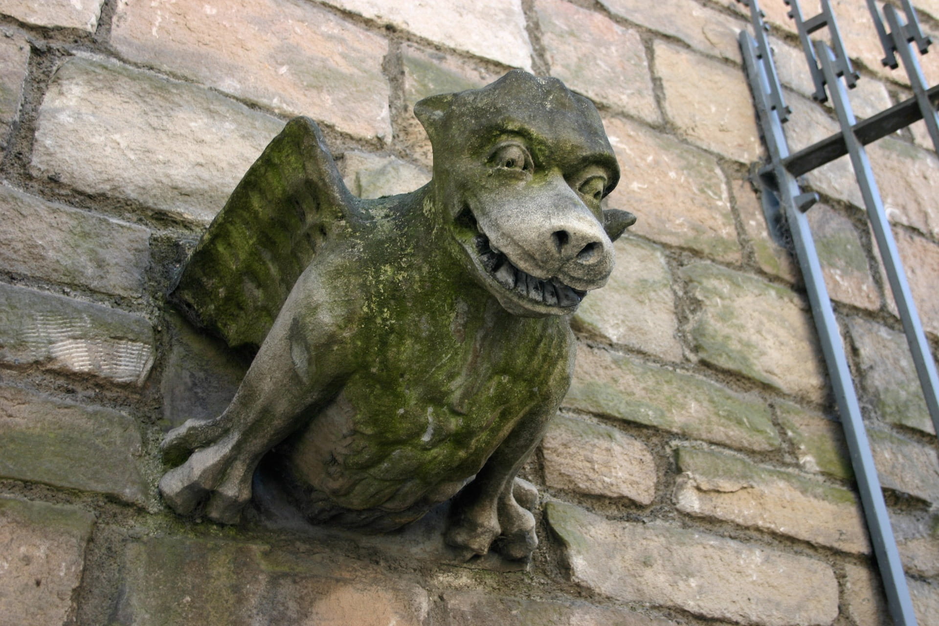 art, animal themes, gothic, animals in the wild, day, wall - building feature, no people, animal, stone wall, masonry, wall, animal wildlife, architecture, HD Wallpaper