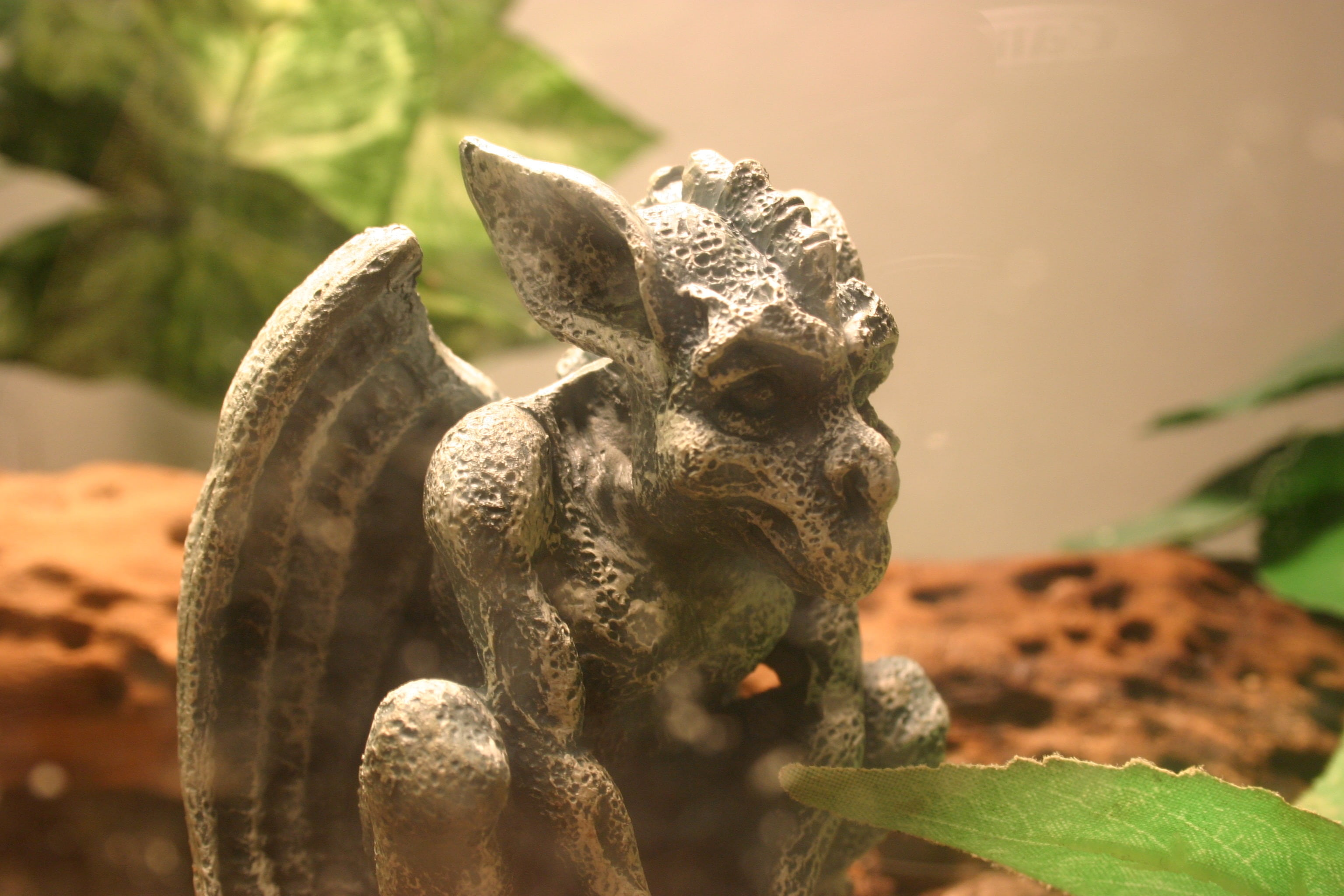 stone material, close-up, gothic, art and craft, no people, architecture, nature, sculpture, mythological, scary, animal representation, garden, day, solid, HD Wallpaper