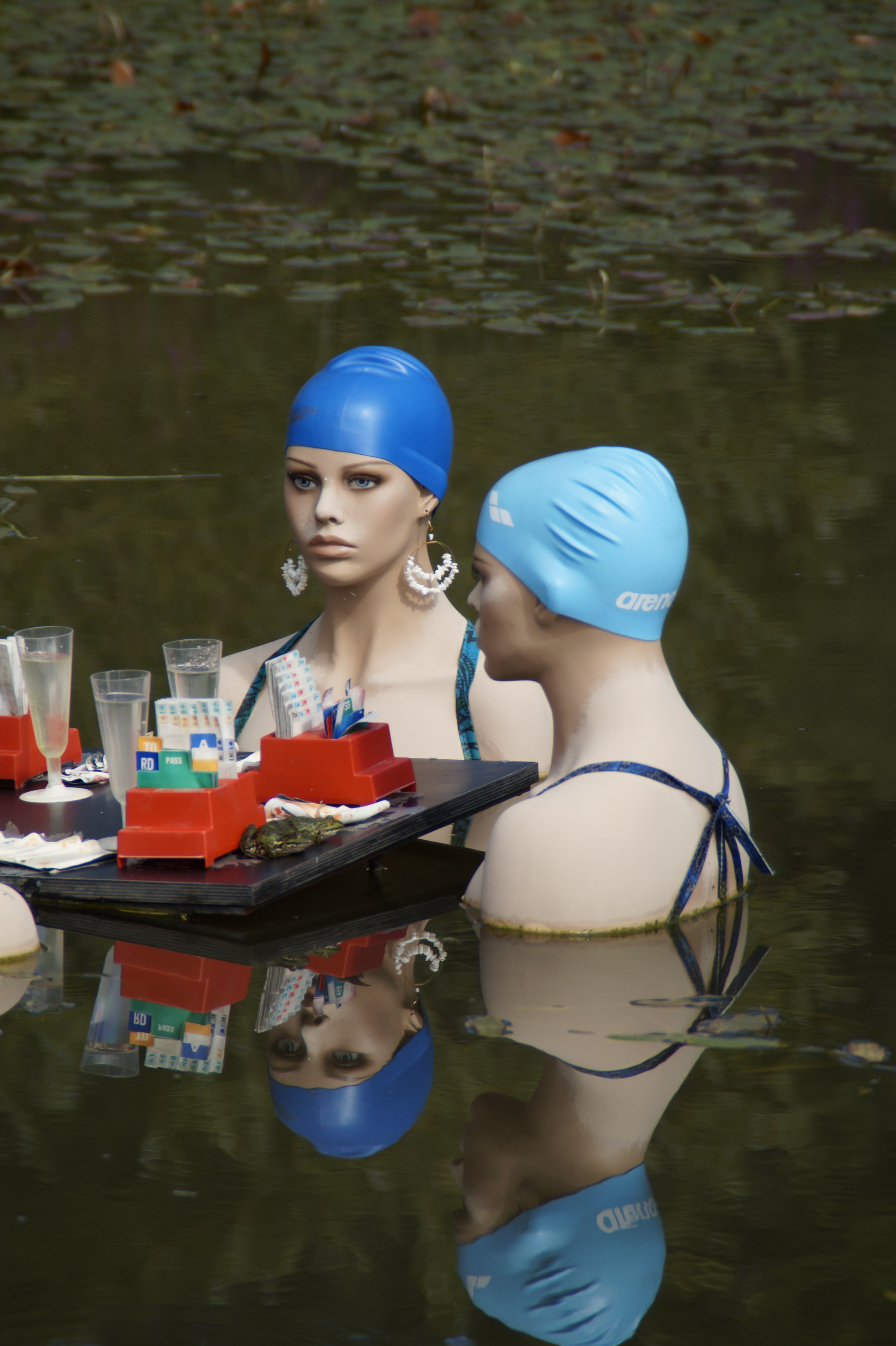 gambling, 5K, mermaids, female, sitting, bathing mermaids, mirroring, botanical garden of ulm, young adult, women, swim, day, talk, chat, young women, Phone HD Wallpaper