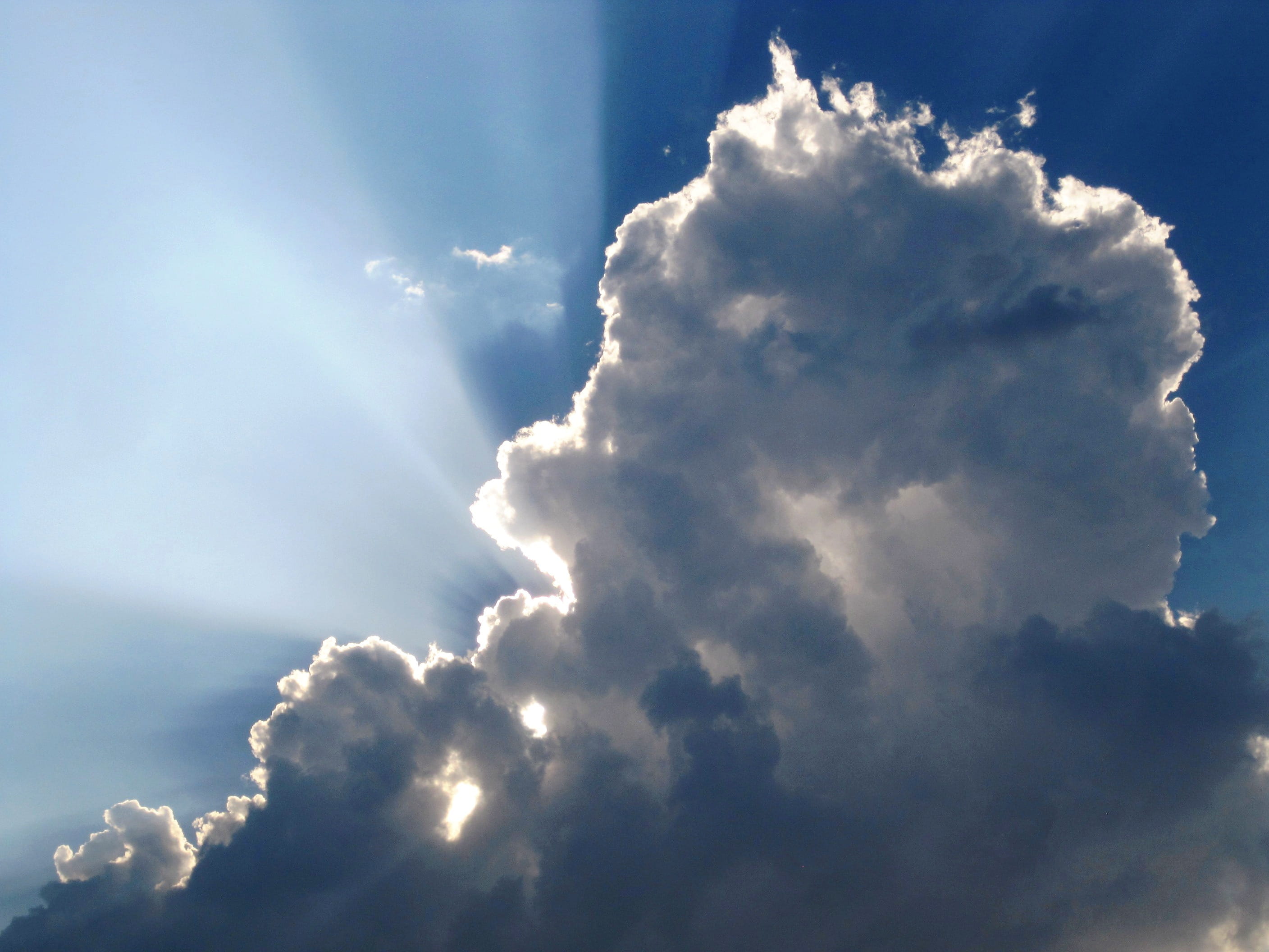 fluffy, Cloud, low angle view, heaven, forecast, cloud - sky, horizon, cloudscape, sunbeam, high, environment, meteorology, sky, Sunny, rays, Sun, Sunlight, HD Wallpaper