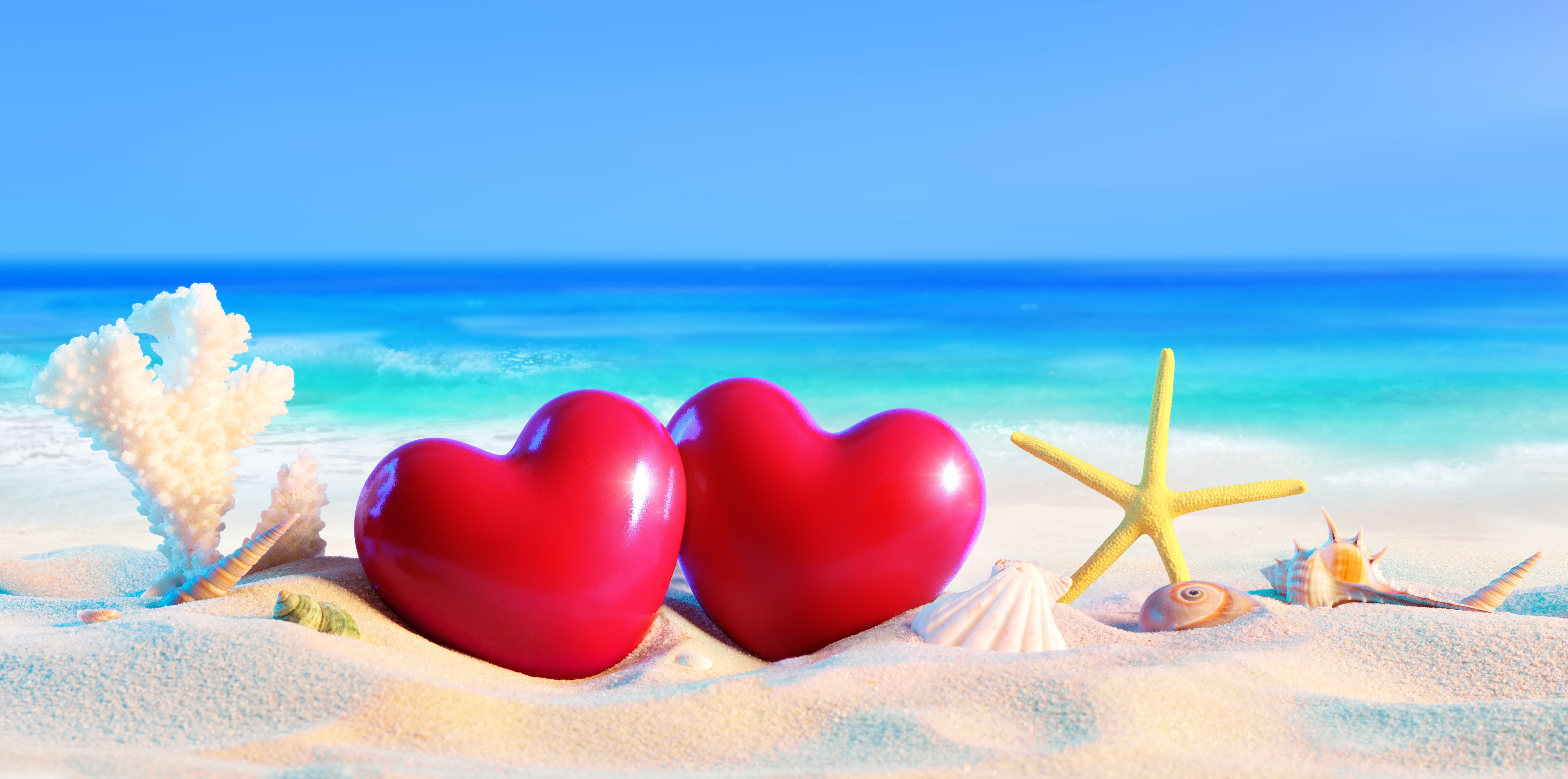 Sea, Starfish, Heart, Sand, Shell, Summer, 8K, Beach, Artistic, HD Wallpaper