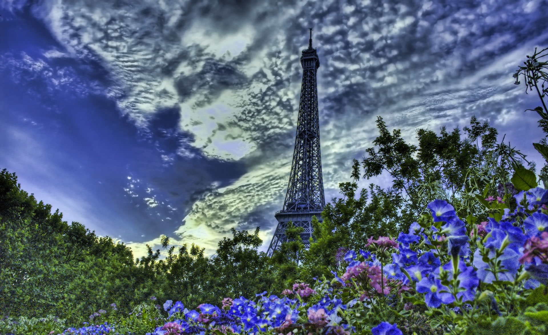 outdoors, eiffel, flower, beauty in nature, plant, cloud - sky, hdr, the past, flowering plant, Aero, tower eiffel hdr, day, spire, sky, history, tree, HD Wallpaper