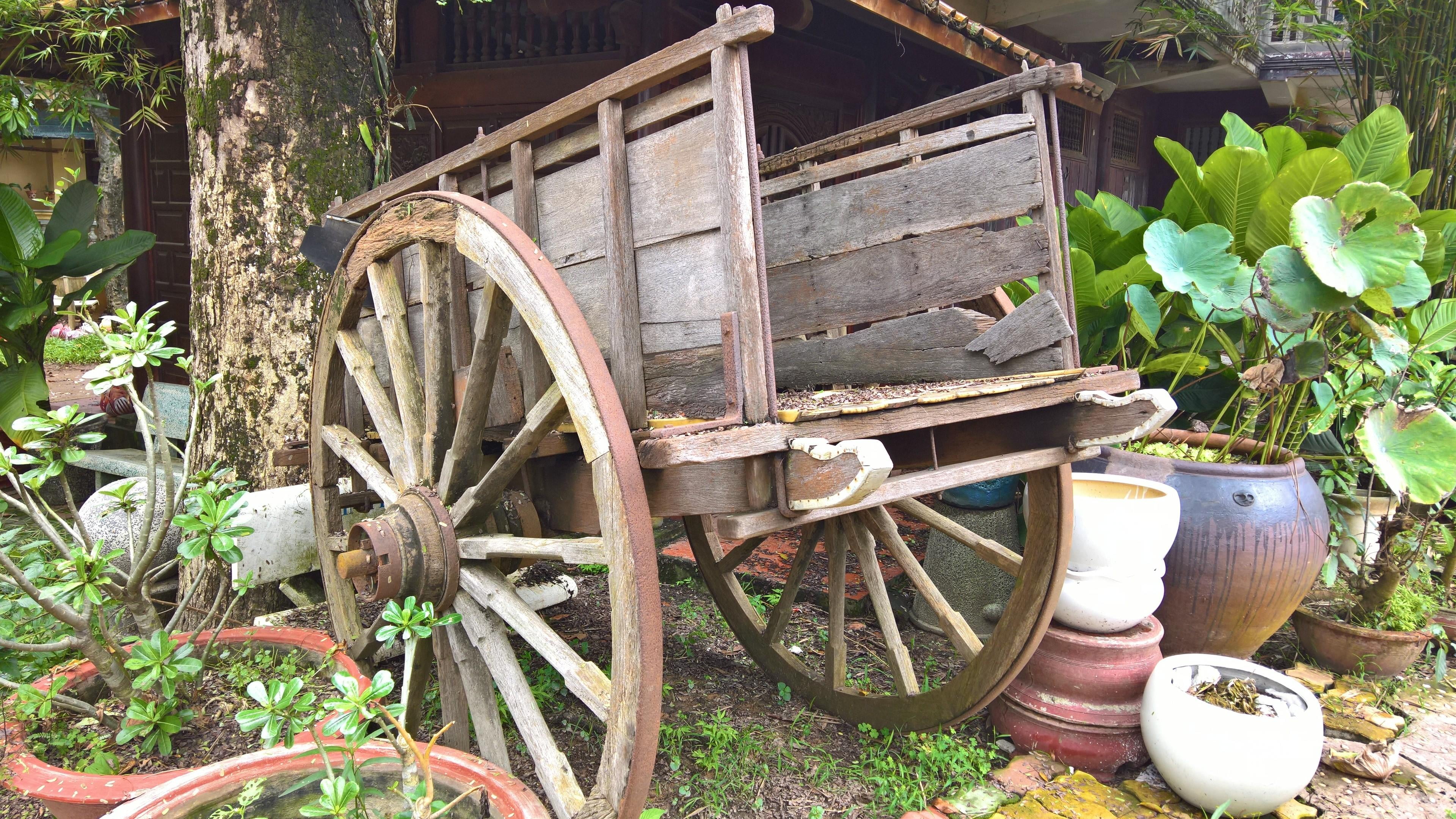 transportation, cow drag car, no people, gardening, field, plant, plant part, potted plant, outdoors, damaged, abandoned, old, wheel, deterioration, day, HD Wallpaper