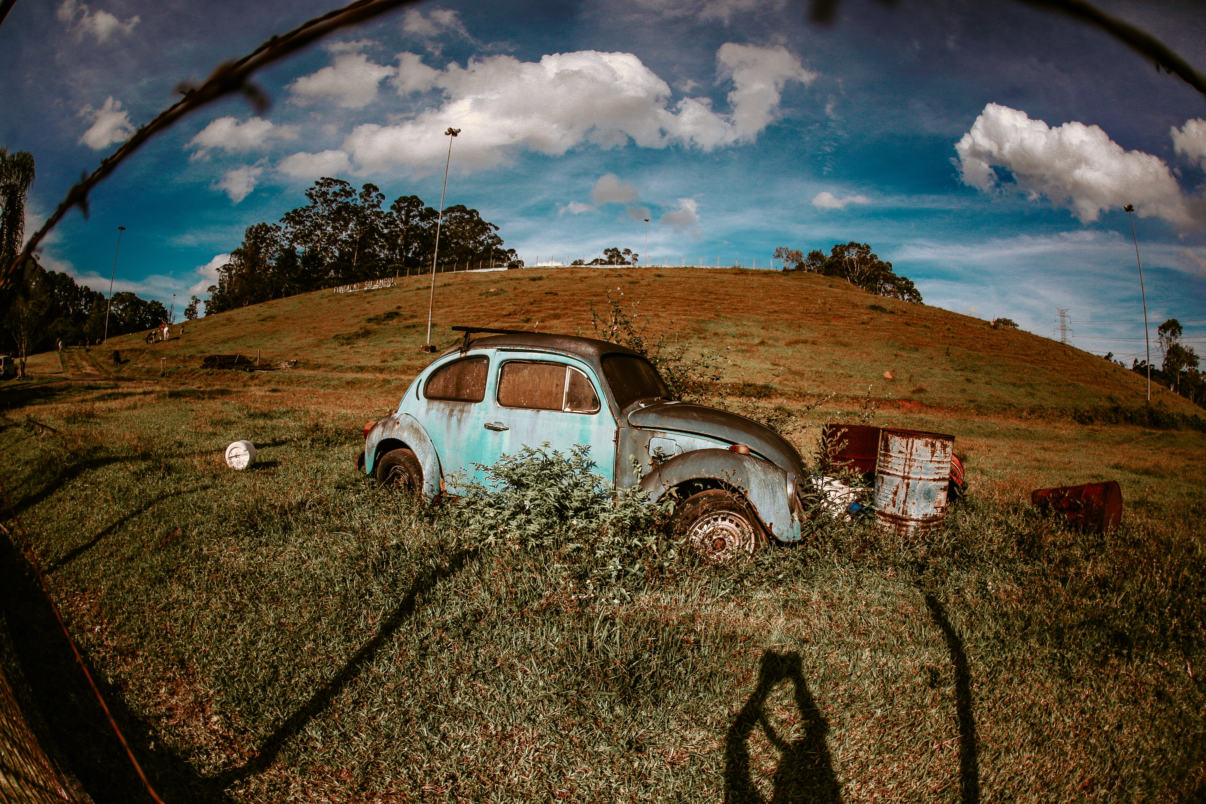 cloud - sky, cattle, transportation, land vehicle, plant, motor vehicle, day, environment, 4K, panoramic, scenics - nature, blue, gravel, tire, middle, HD Wallpaper