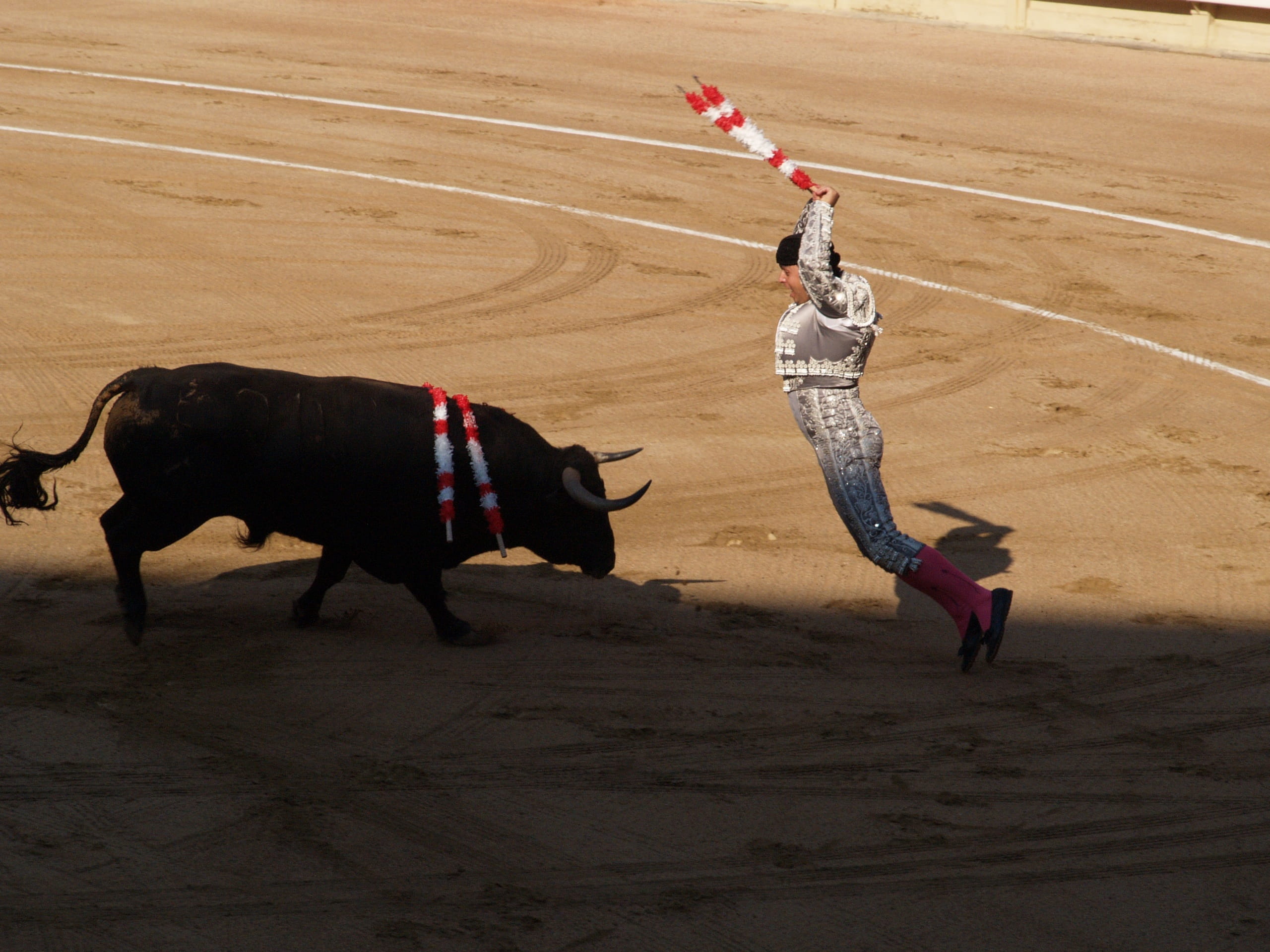 bull - animal, Banderillero, full length, outdoors, real people, animal, lifestyles, sign, mammal, 2K, people, Torero, livestock, sand, Bulls, pets, domestic animals, HD Wallpaper