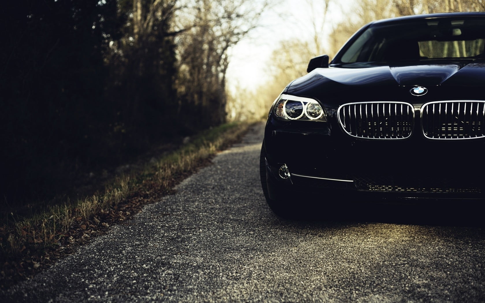 plant, vehicle, close-up, outdoors, tree, no people, 720P, motor vehicle, car, focus on foreground, city, day, nature, headlight, blue, BMW, travel, retro styled, HD Wallpaper