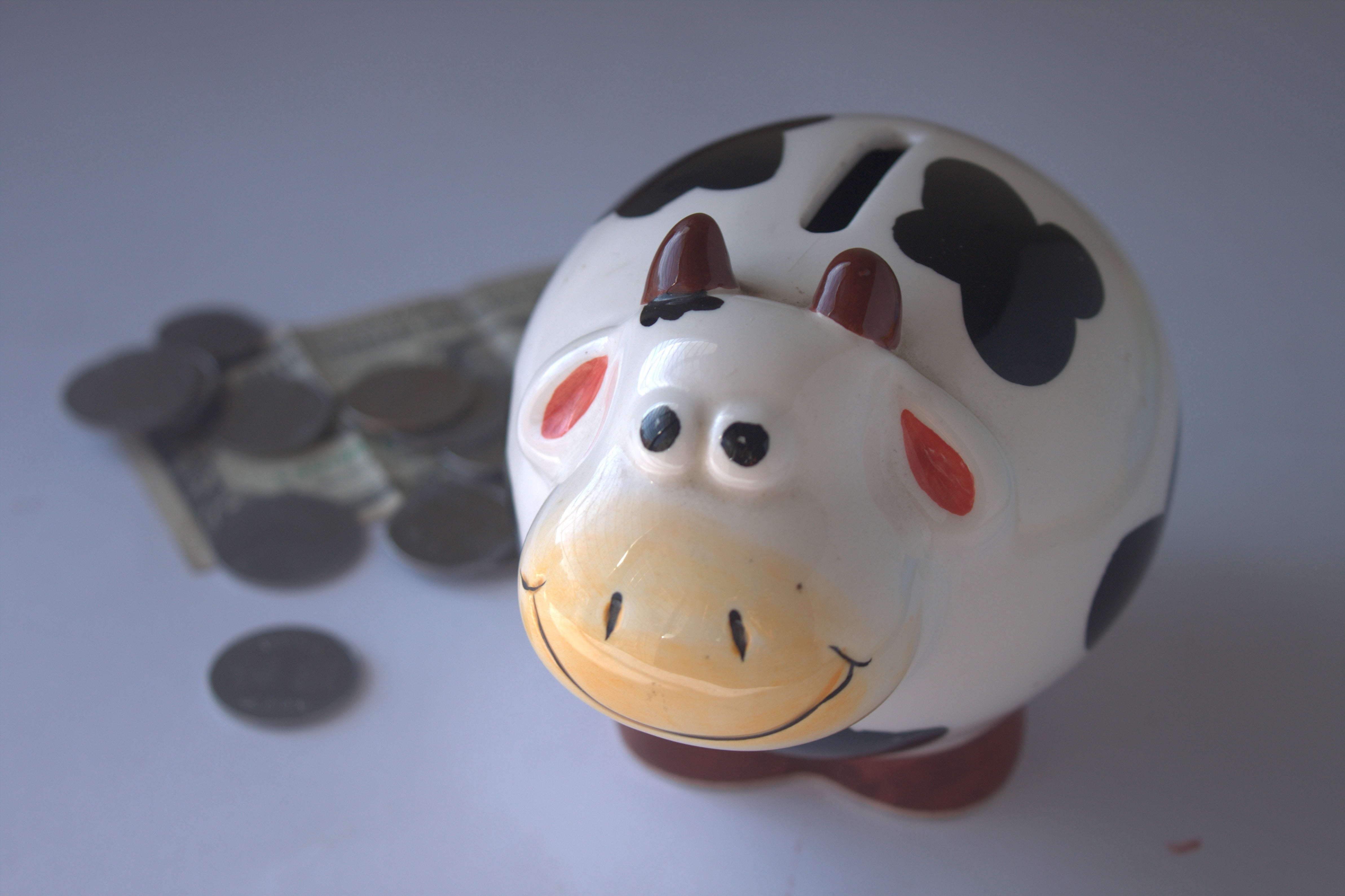 animal, toy, no people, 4K, white color, still life, currency, white, representation, savings, focus on foreground, mammal, brown, deposit, piggy bank, HD Wallpaper