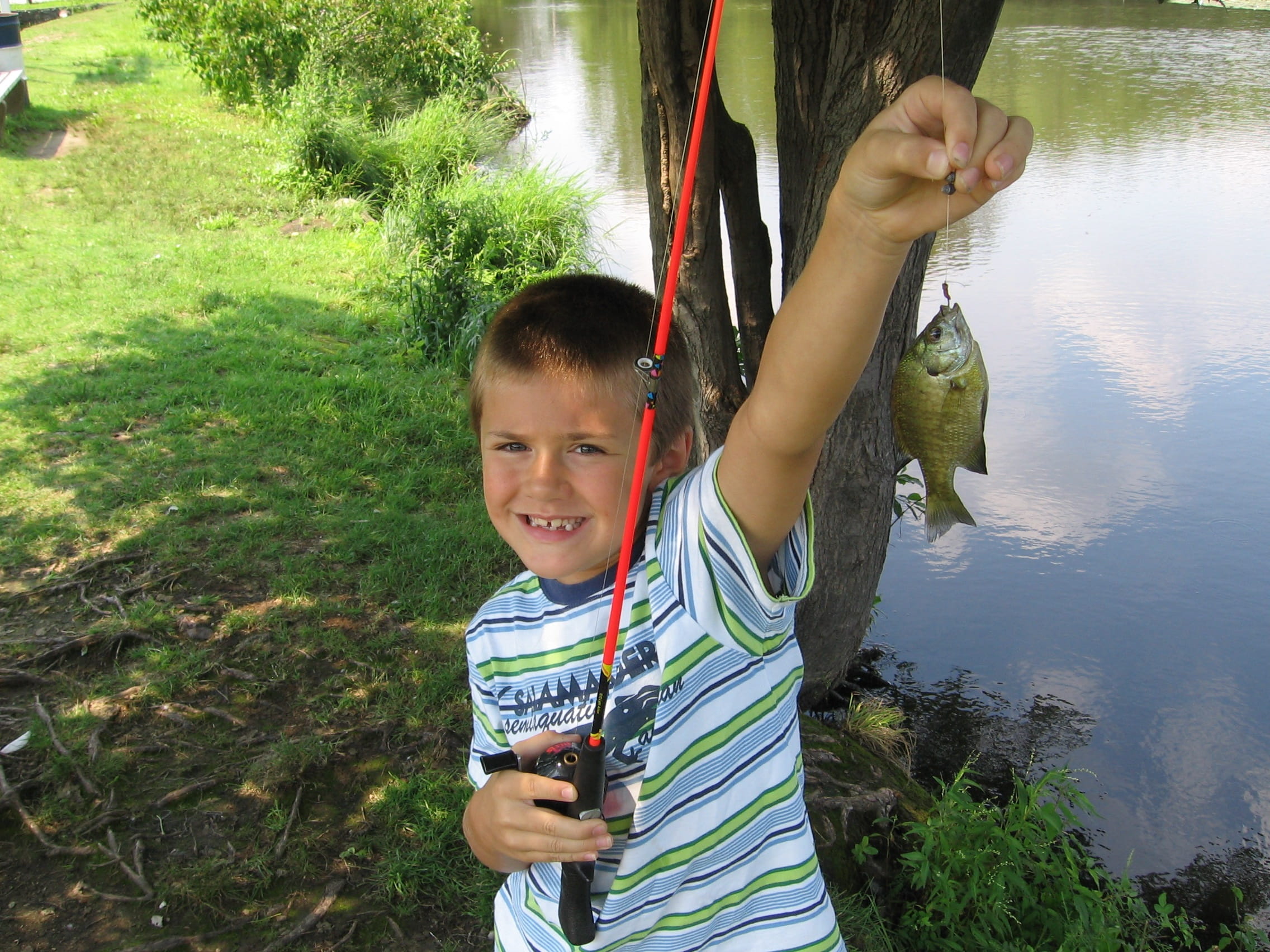 recreation, smiling, child, men, two people, nature, innocence, looking at camera, lifestyles, real people, males, standing, 1080P, fishing, bait, plant, HD Wallpaper