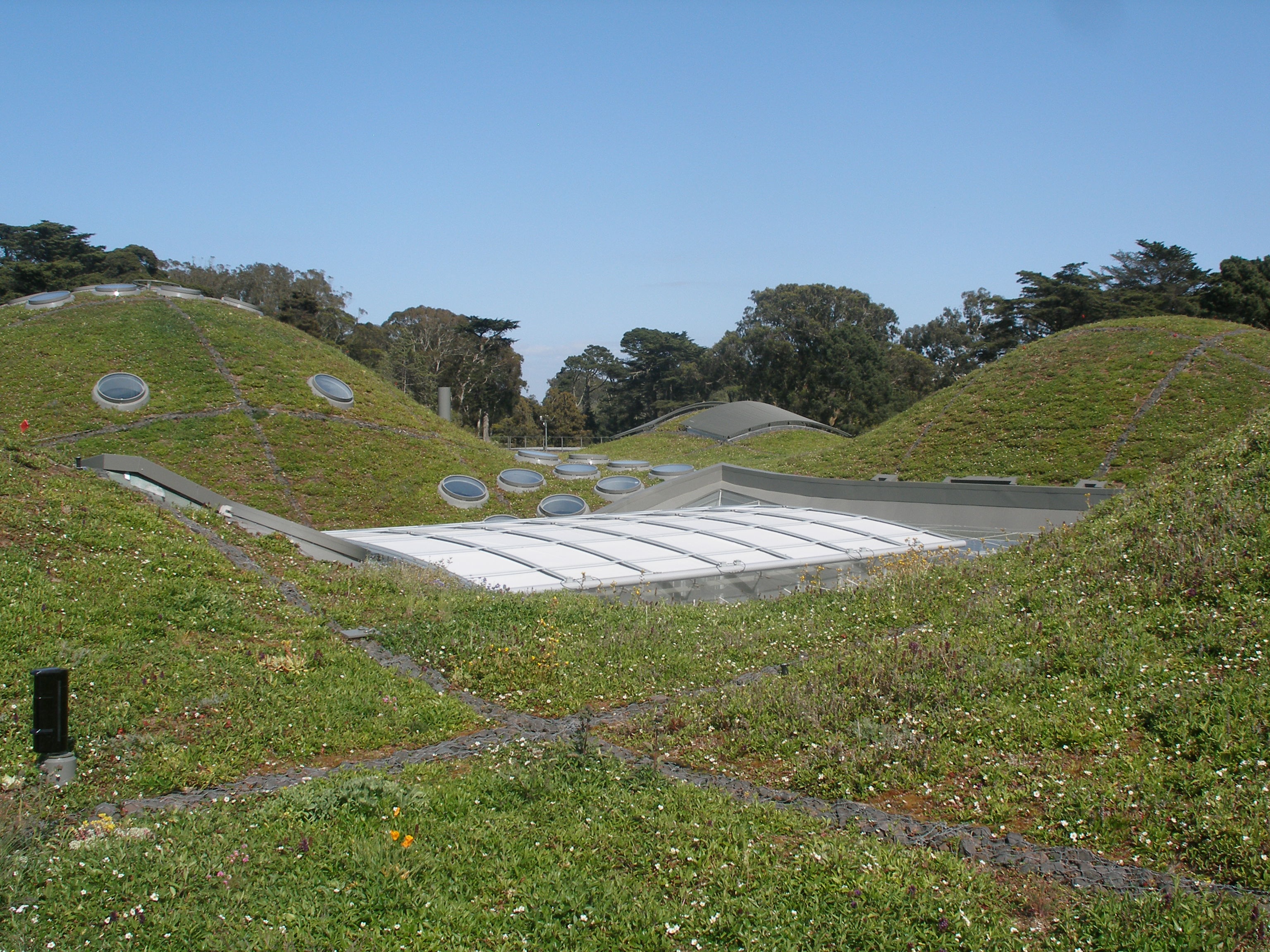 green roof, outdoors, day, scenics - nature, grass, beauty in nature, land, tranquility, growth, high angle view, architecture, leed platinum, non-urban scene, HD Wallpaper