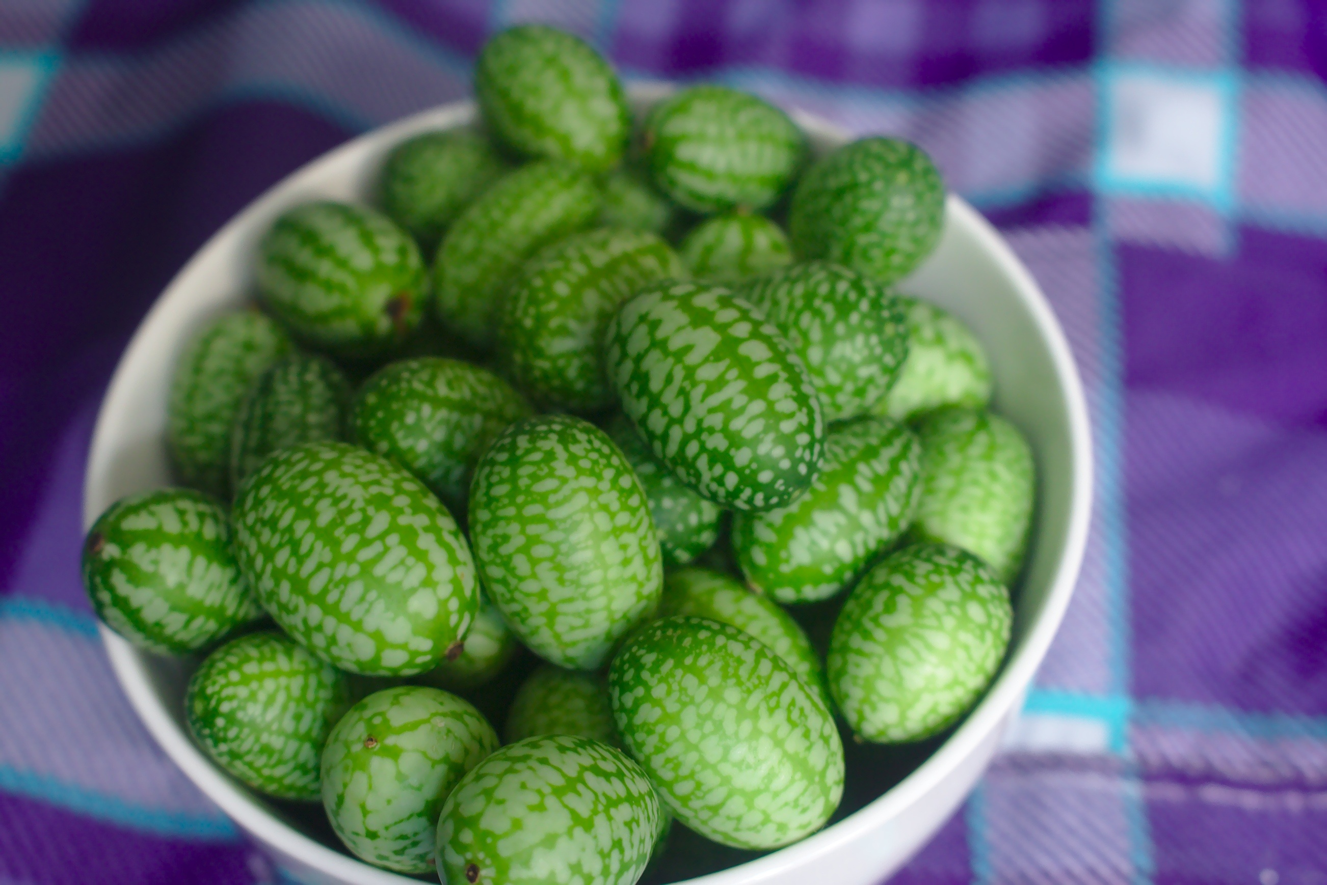high angle view, healthy eating, small, focus on foreground, healthy snack, cucamelon, green color, melothria scabra, organic, mexican sour gherkin, abundance, HD Wallpaper