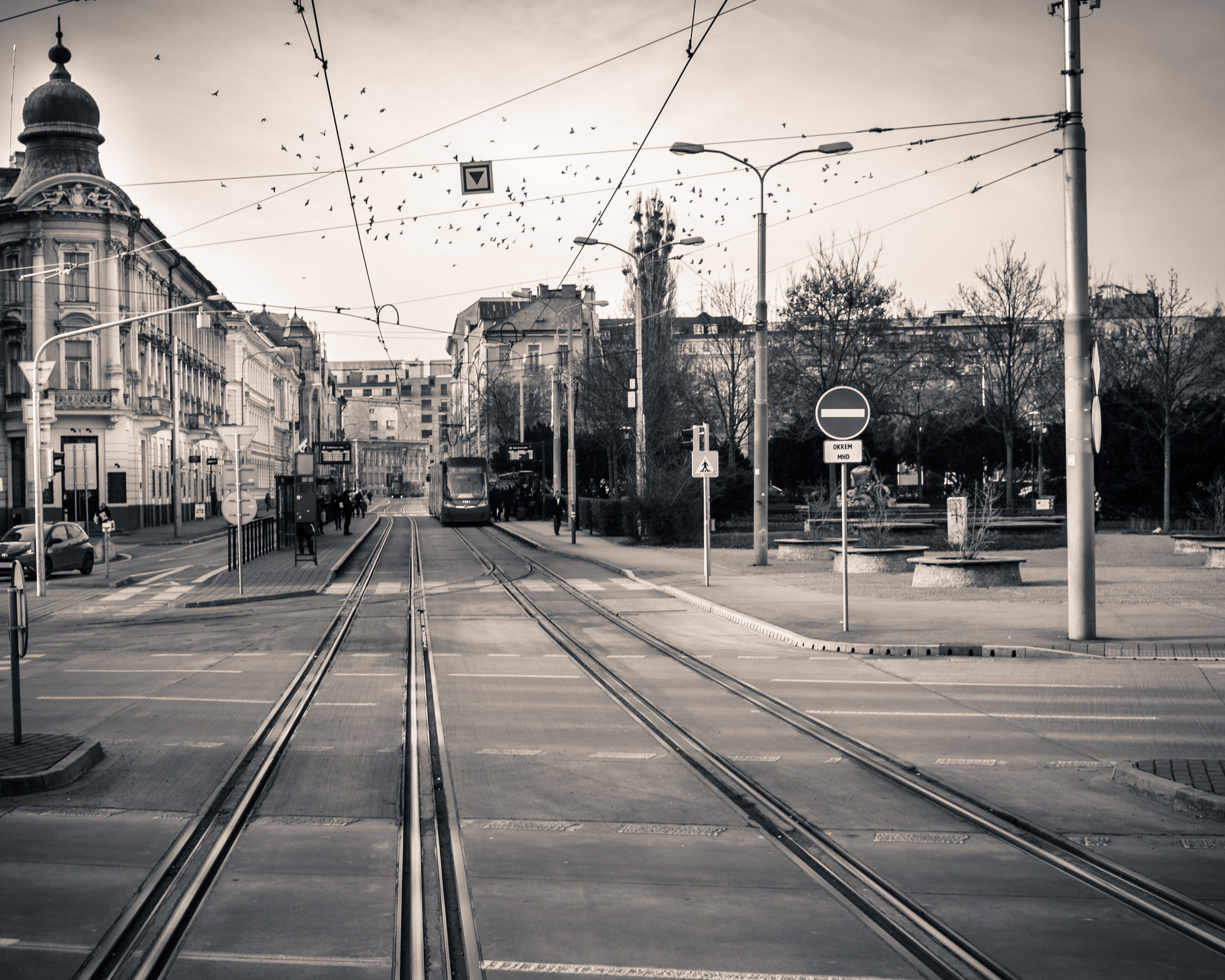 nature, public transportation, train, no people, outdoors, black and white, transportation, sky, building exterior, railroad station platform, animals, HD Wallpaper