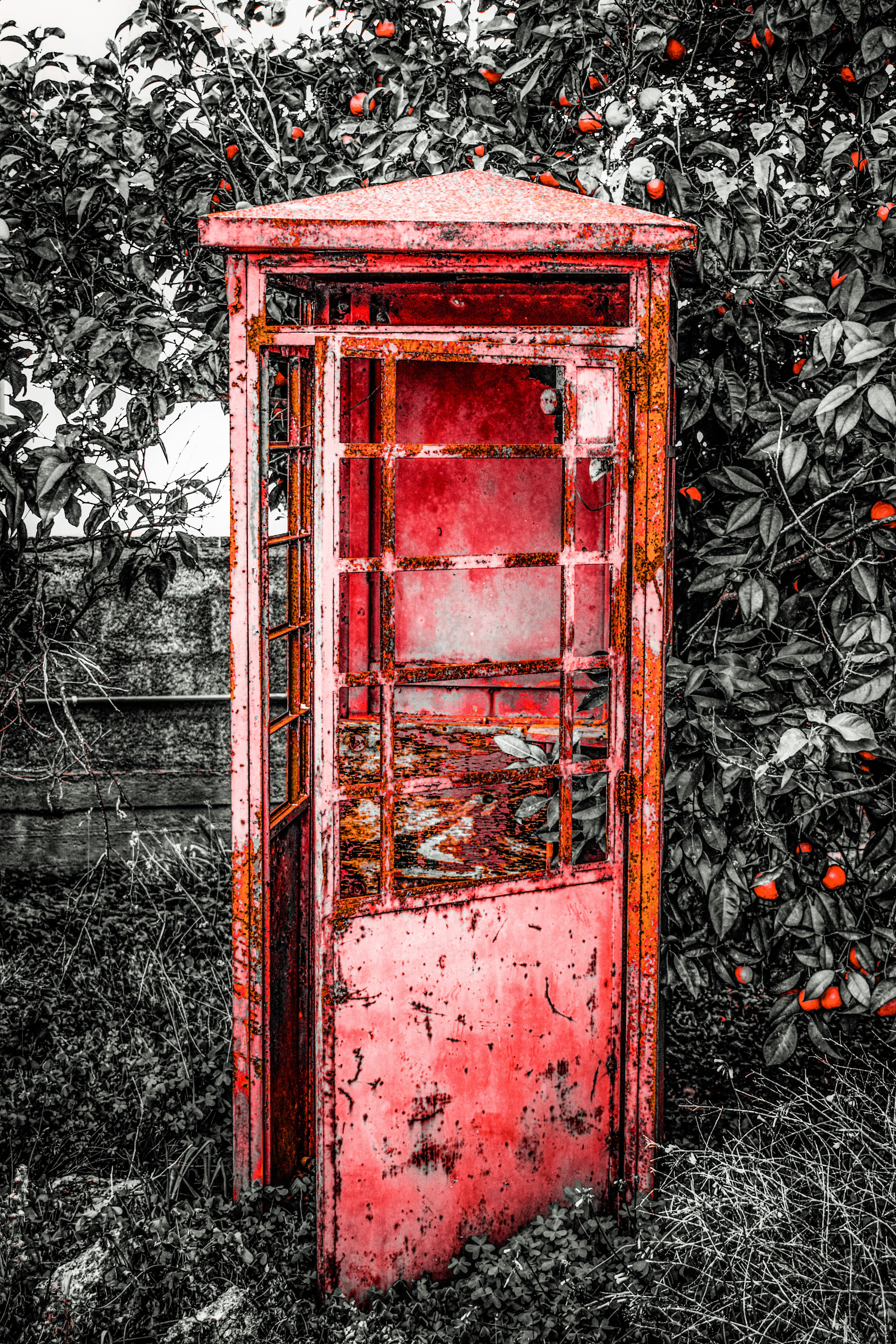 land, Aged, tree, field, Telephone Box, old, outdoors, rusty, no people, metal, Antique, window, day, abandoned, wall - building feature, nature, 5K, architecture, Phone HD Wallpaper