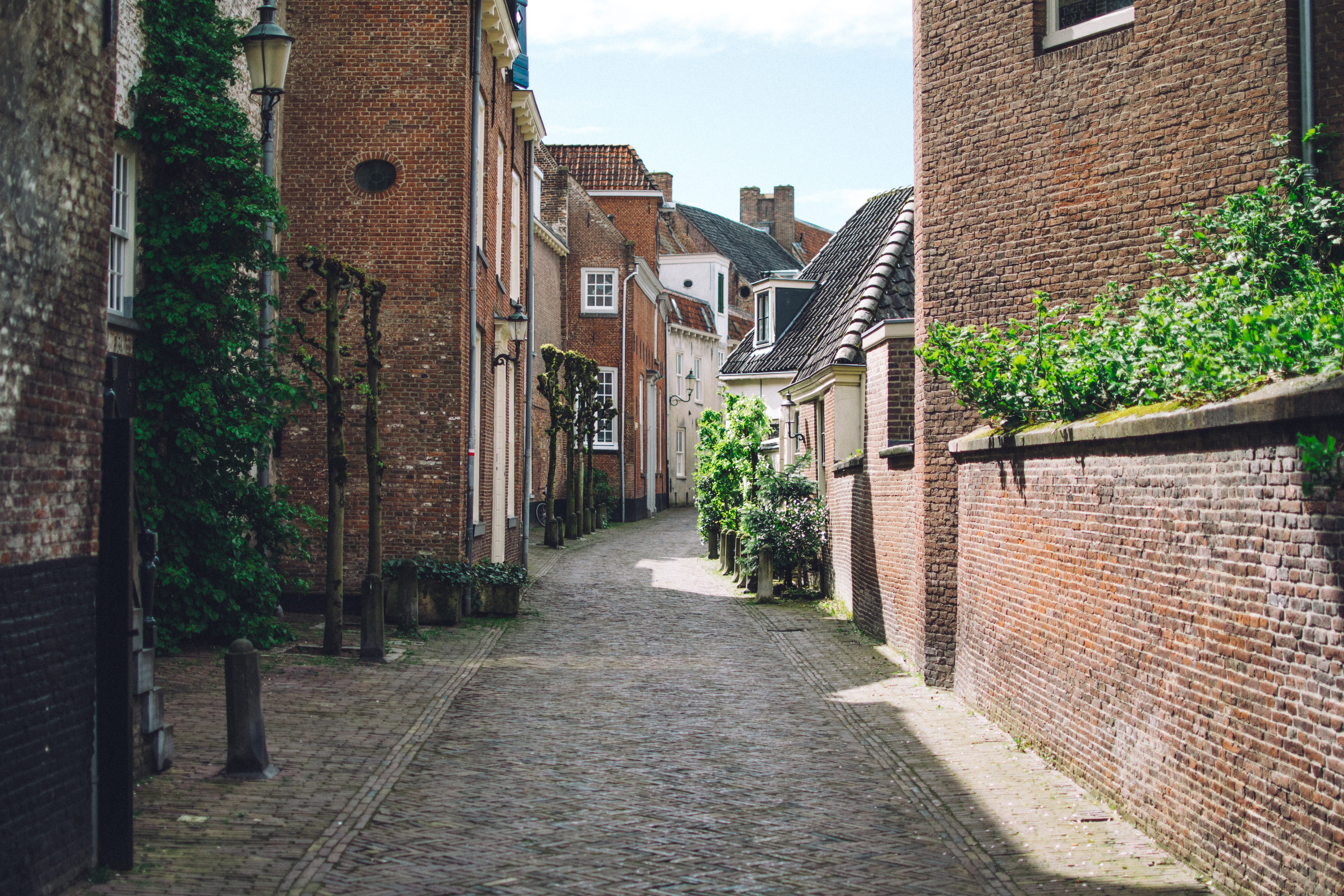 cobblestones, the way forward, walls, day, town, street, wall, nature, architecture, plant, direction, lane, buildings, residential district, historic, HD Wallpaper