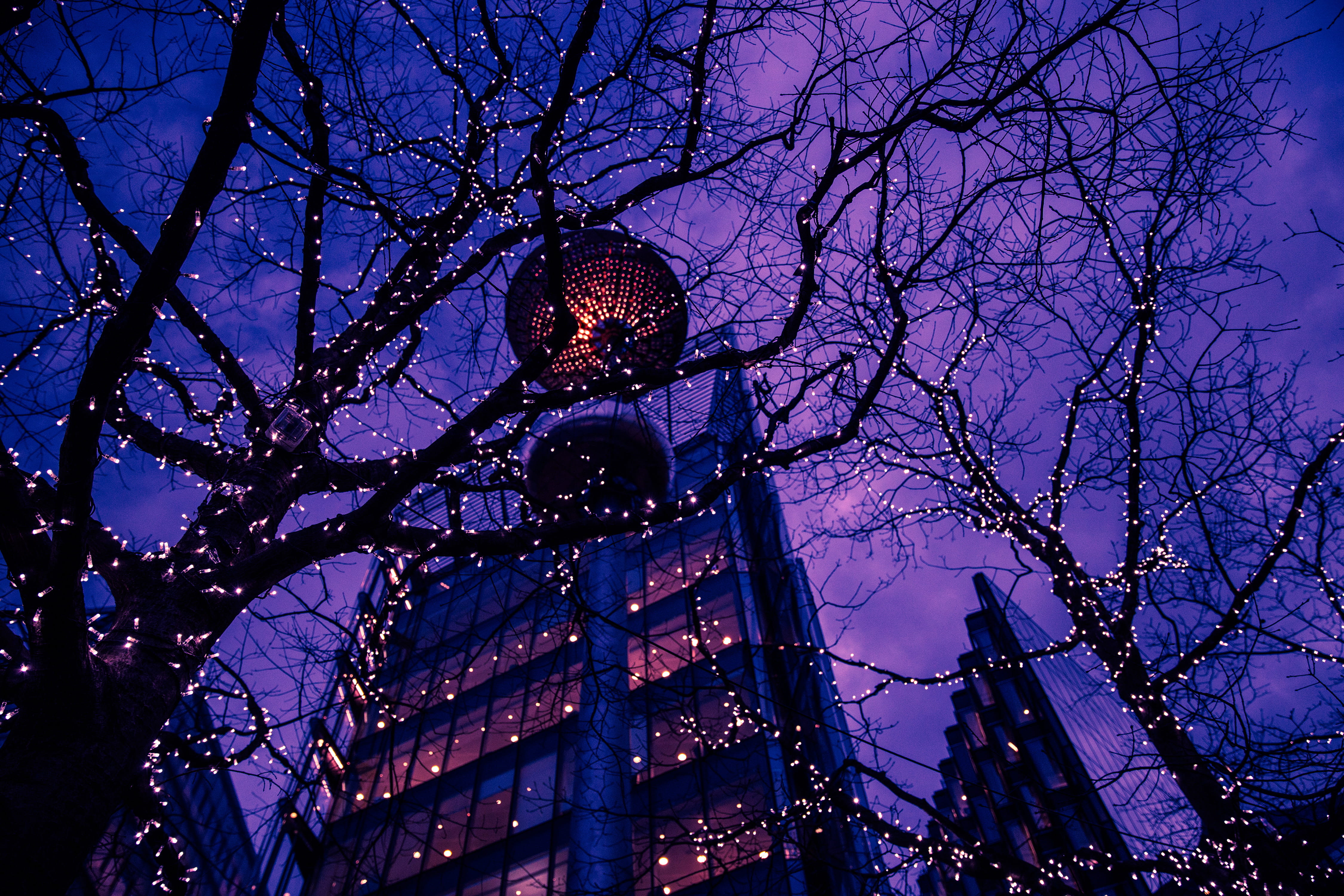 at night, tall - high, sphere, built structure, low angle view, architecture, Trees, building exterior, no people, buildings, building, nature, tower, clouds, HD Wallpaper