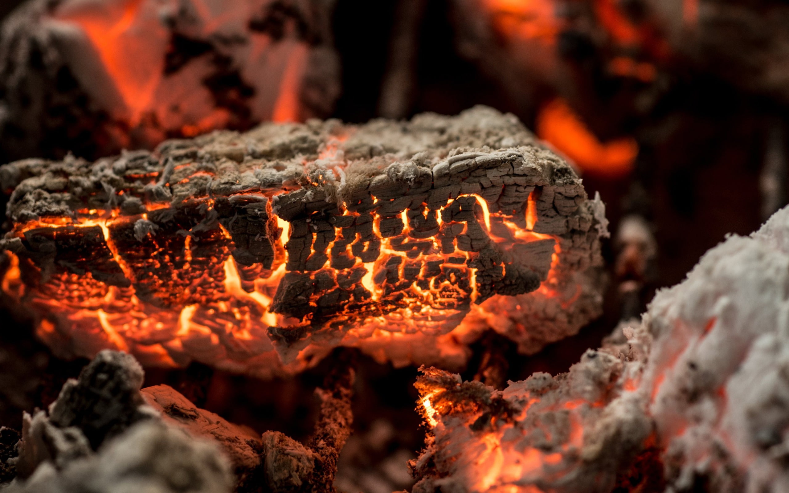 close-up, 2K, fire - natural phenomenon, burning, heat - temperature, nature, coal, firewood, selective focus, high, no people, outdoors, macro, HD Wallpaper