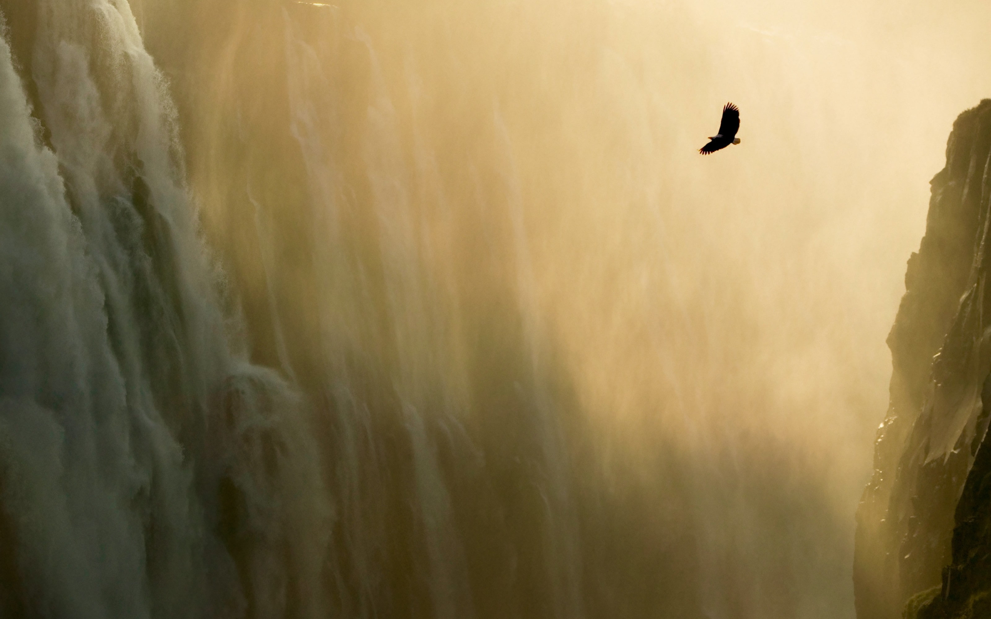 art, mountain, waterfalls, macintosh, animals, inc, 2K, hd, scenic, lion, x, apple, BIRDS, HD Wallpaper