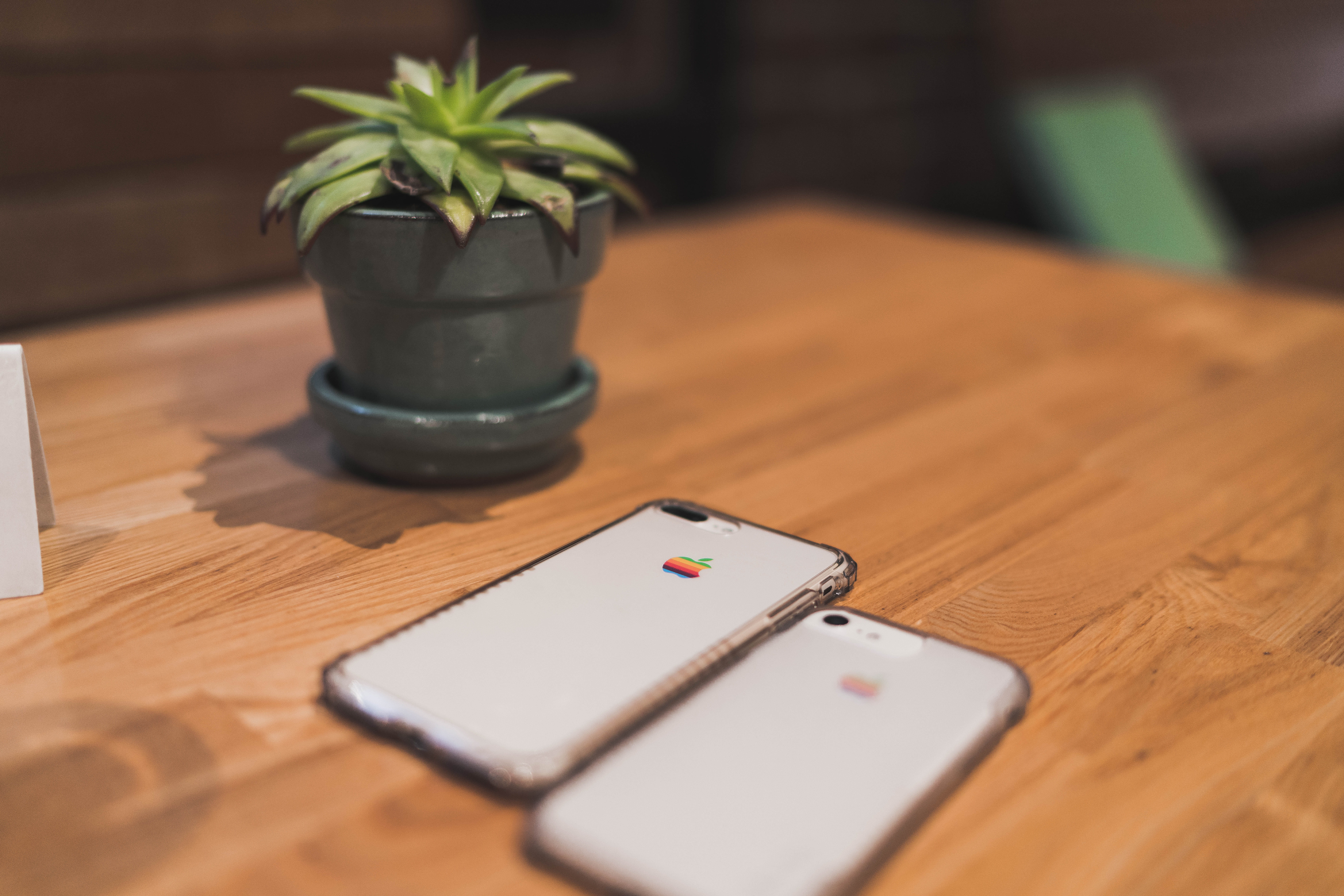 communication, wireless technology, retro, wood - material, mobile phone, smart phone, portable information device, simple, flower pot, leaf, nature, potted plant, HD Wallpaper