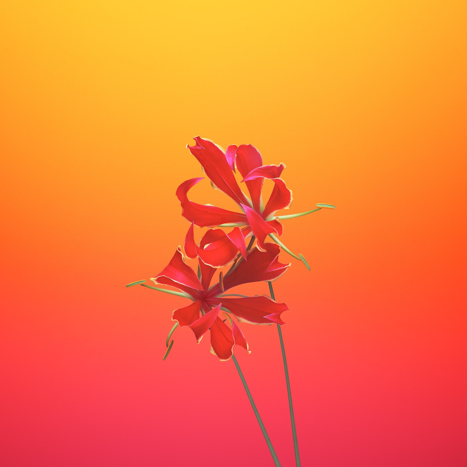 ios11, 1080P, Phone HD Wallpaper