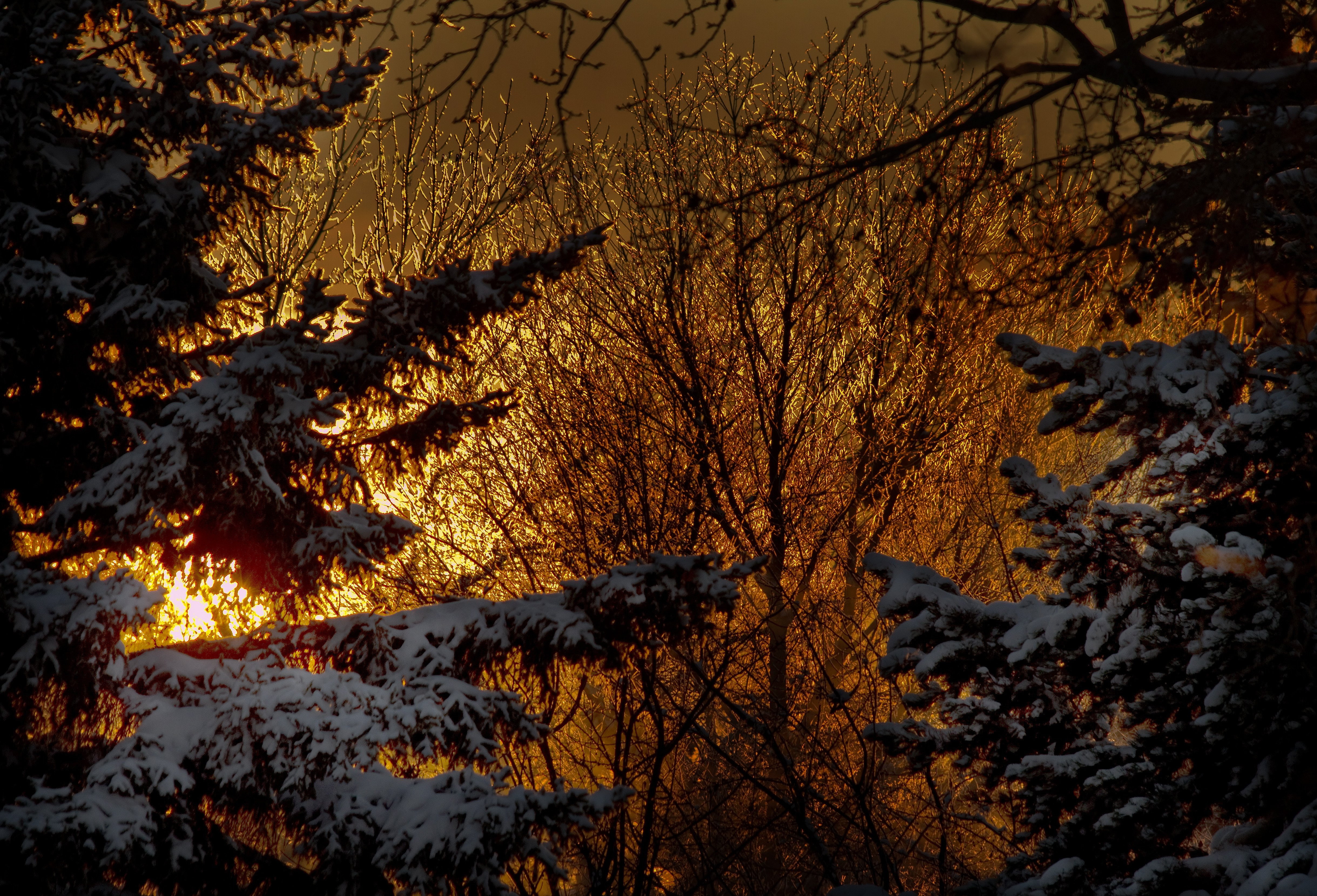 nature, 8k, 4k, retina, Winter, 4K, HD Wallpaper