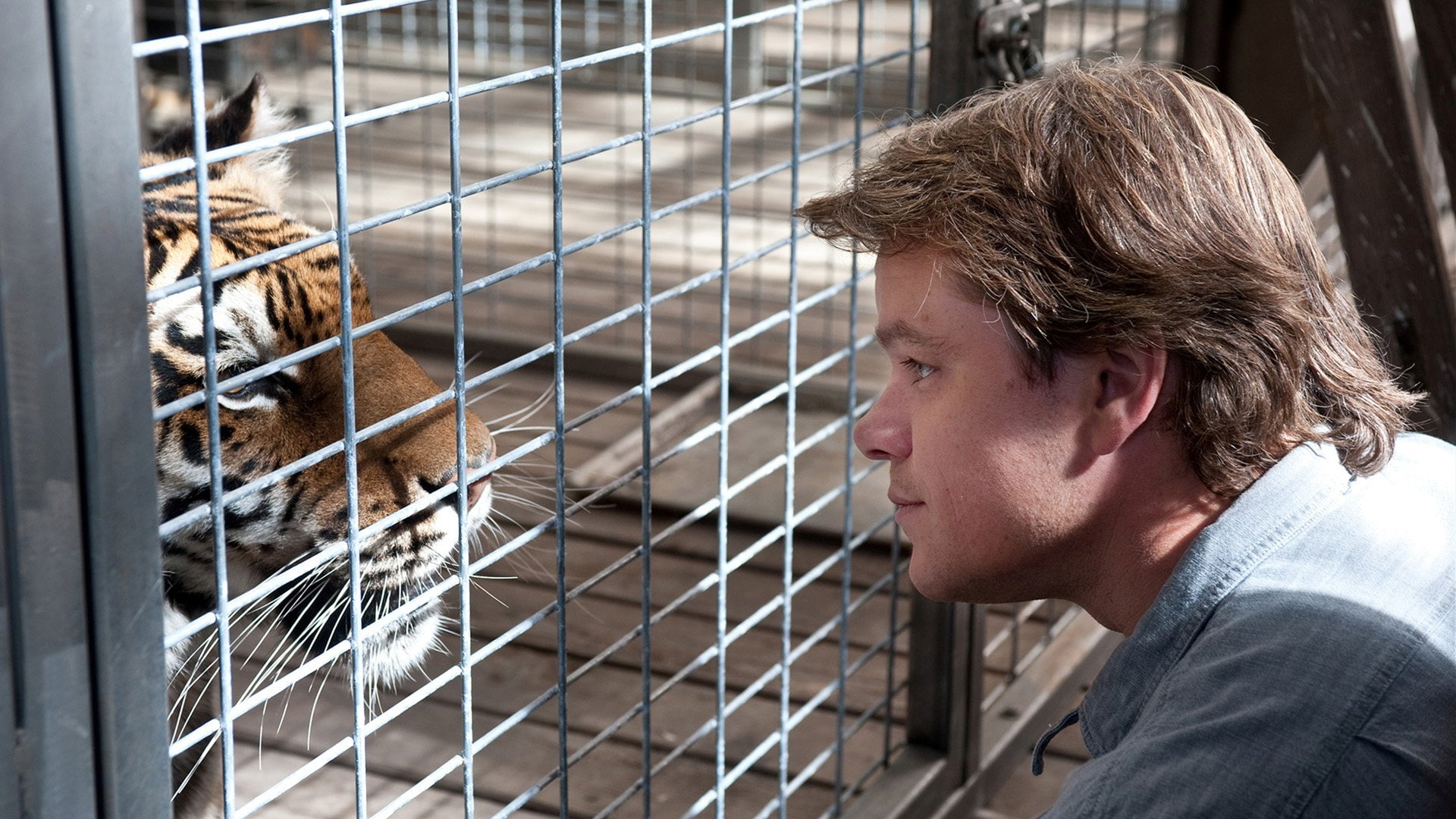 Matt Damon, We Bought A Zoo, 1080P, Movie, HD Wallpaper