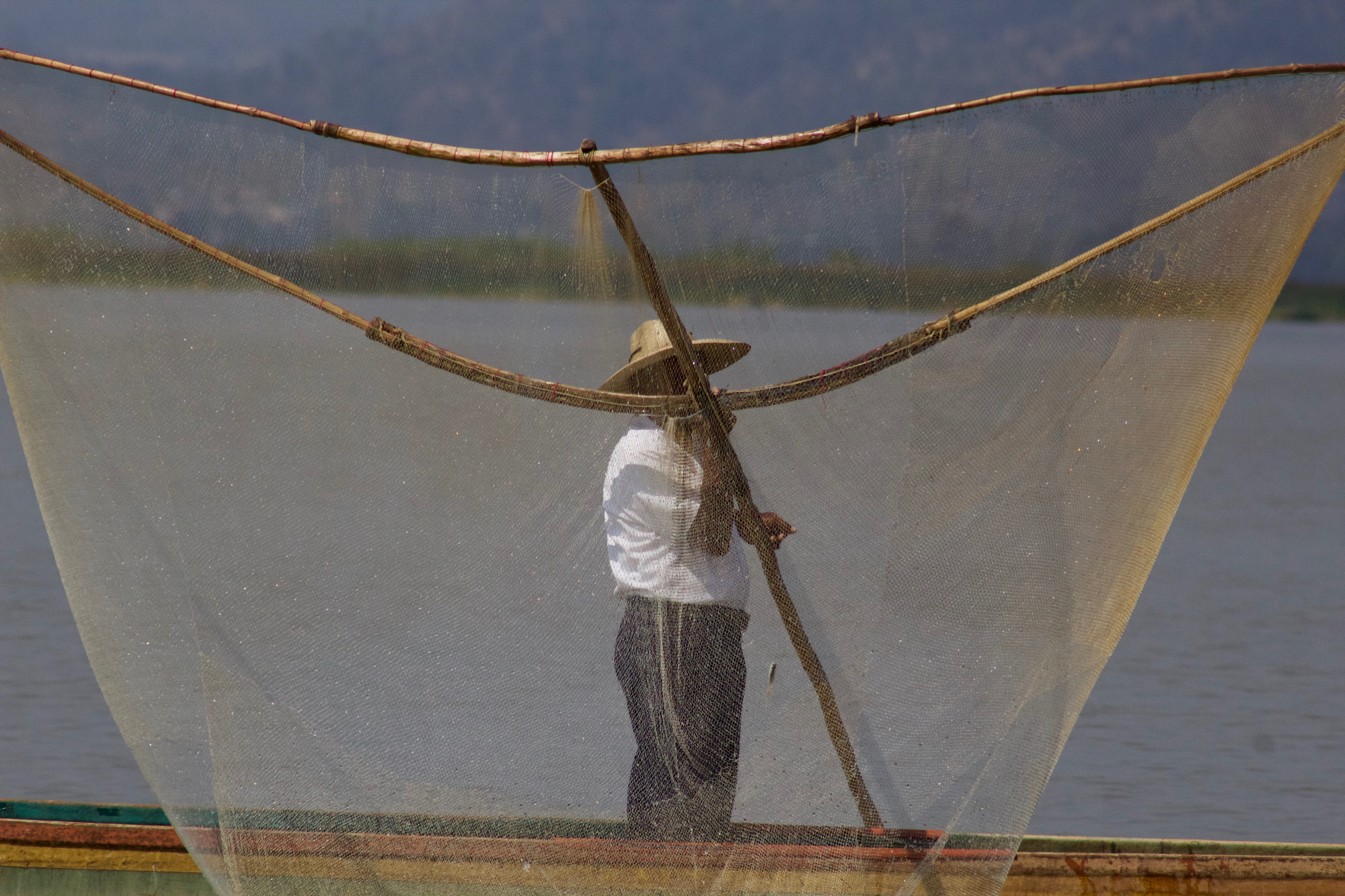 fishing net, lake, casual clothing, standing, man, rear view, nautical vessel, real people, rope, day, lifestyles, fishing industry, sea, commercial fishing net, HD Wallpaper
