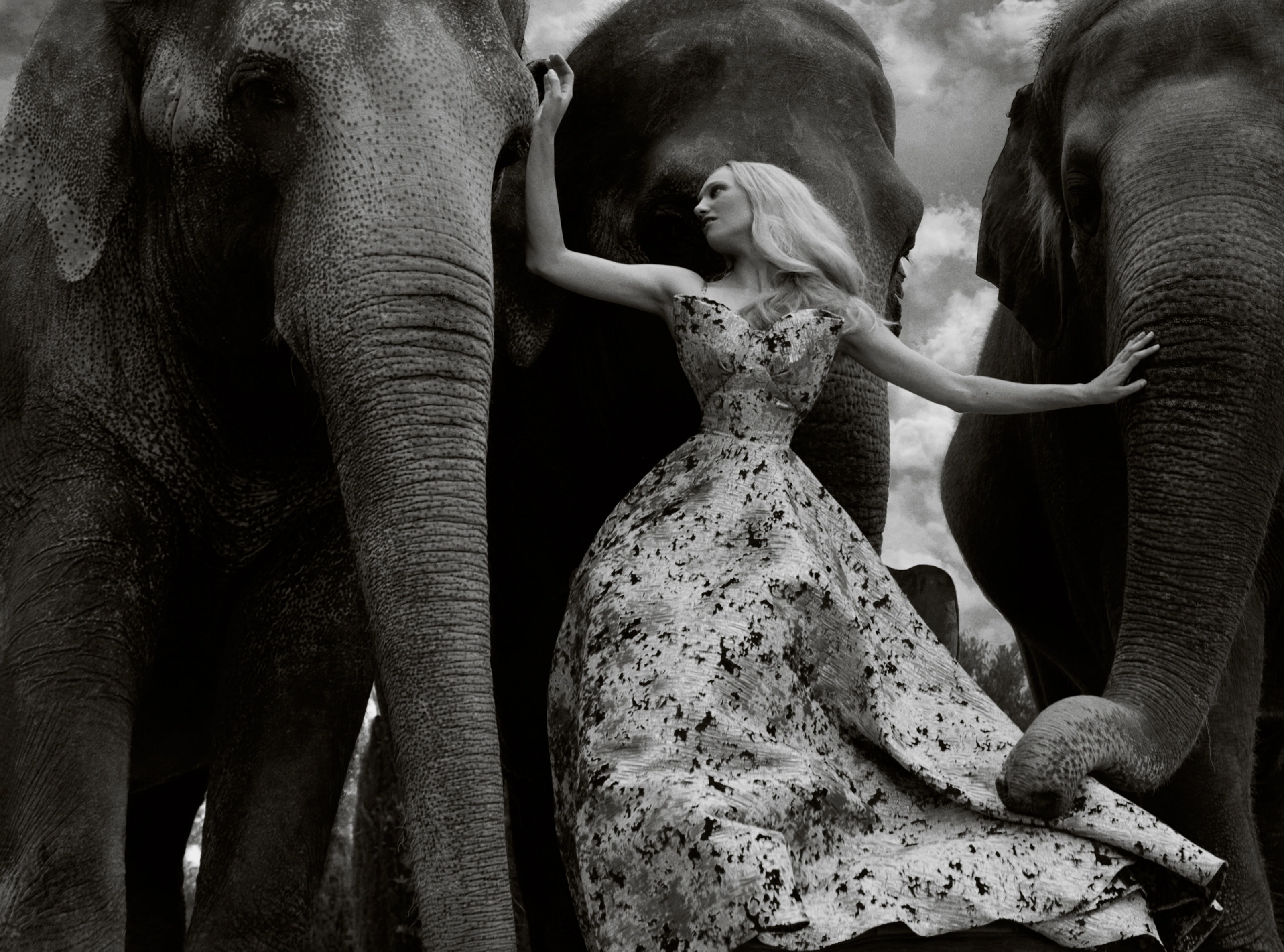 Elephants, Clothing, Lovely, animal trunk, Wonderful, Dress, Woman, animal wildlife, Outfit, Fashion, Beautiful, no people, formal, animal body part, representation, HD Wallpaper