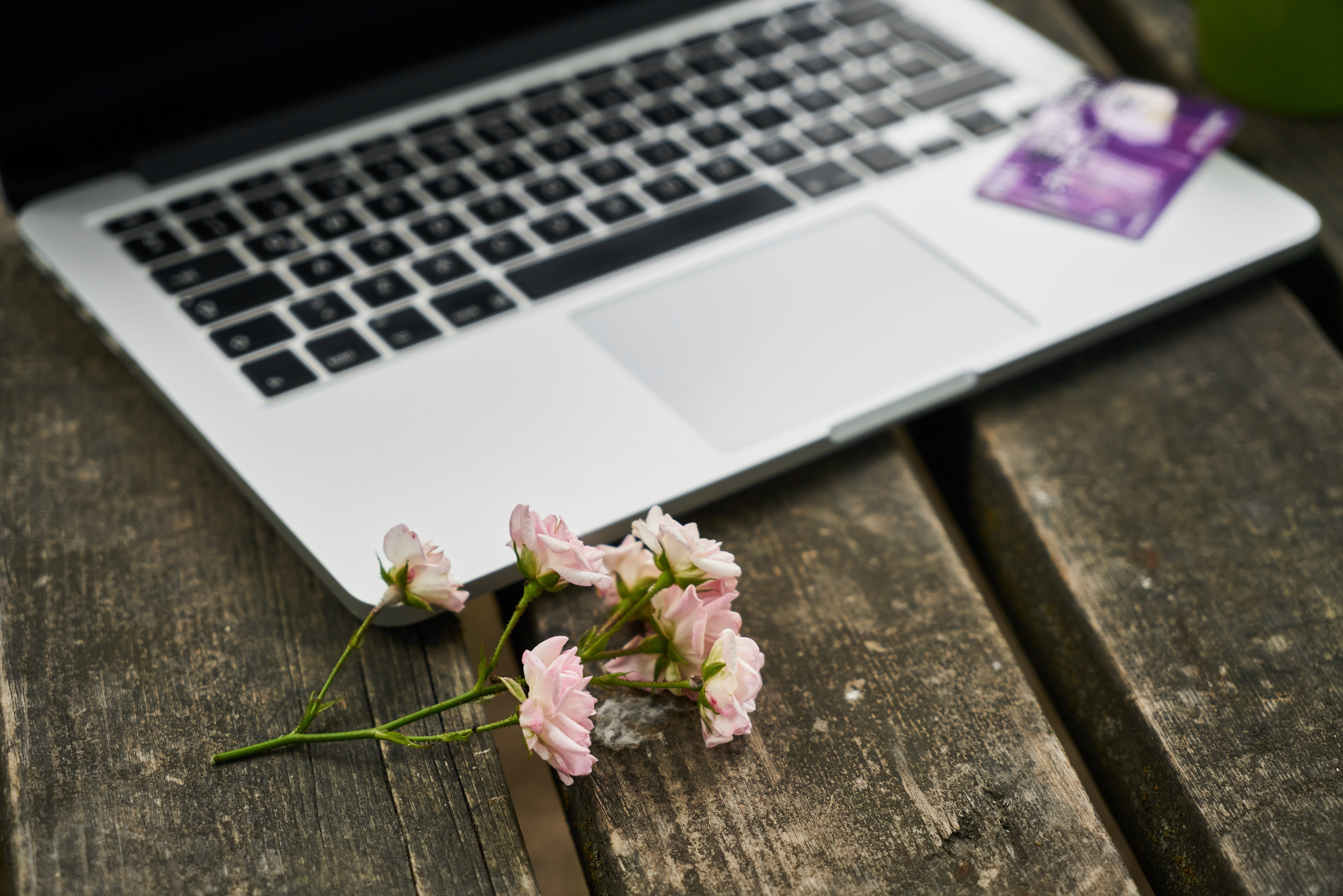 computer, freshness, romantic, pink color, digital, company, macbook, close-up, indoors, office, desktop, keyboard, wireless technology, furniture, beauty in nature, HD Wallpaper