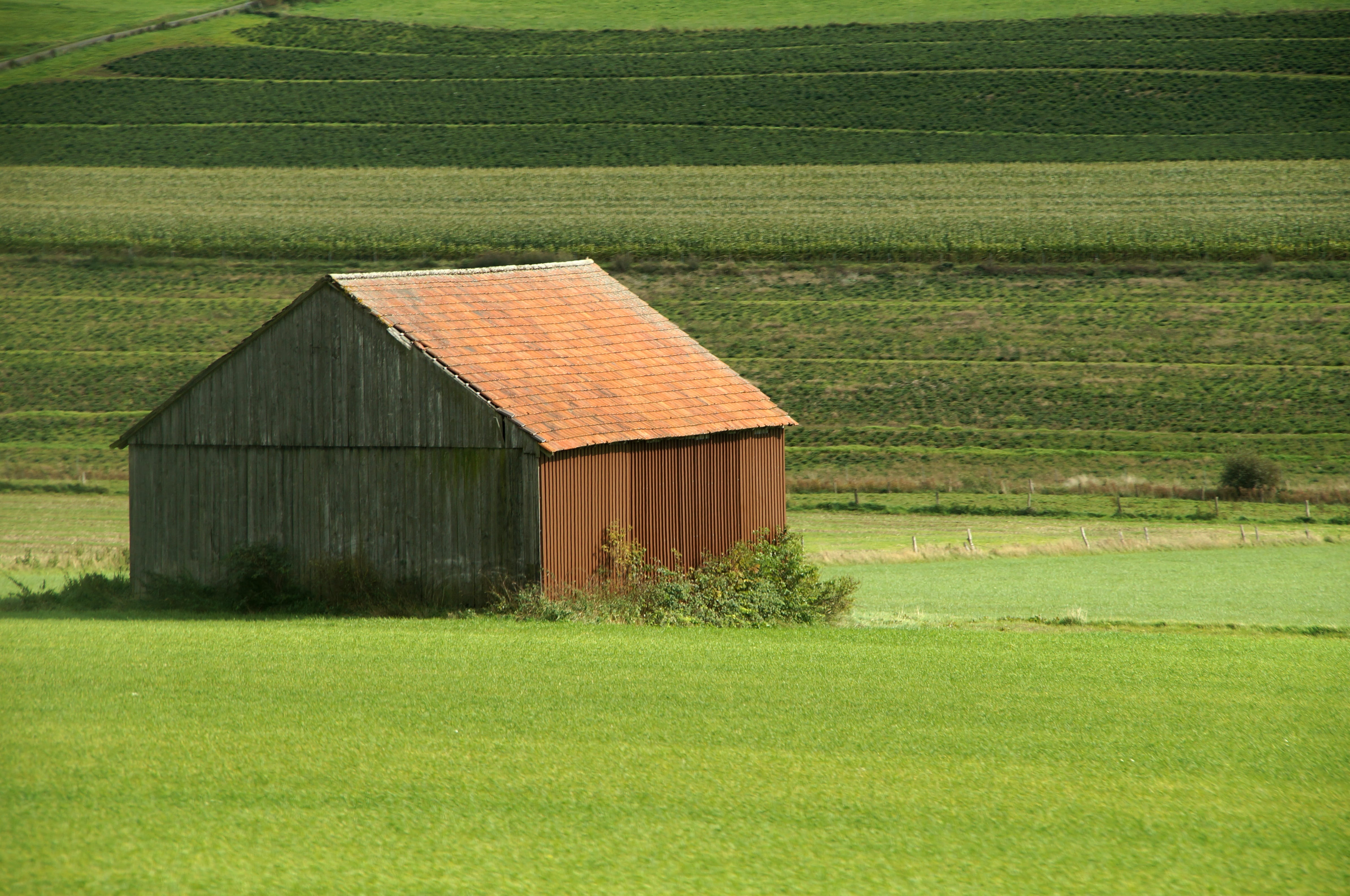 eco, building exterior, built structure, management, nature, grass, cultivation, agriculture, harvest, no people, work, day, farm, tractor, 4K, arable, HD Wallpaper