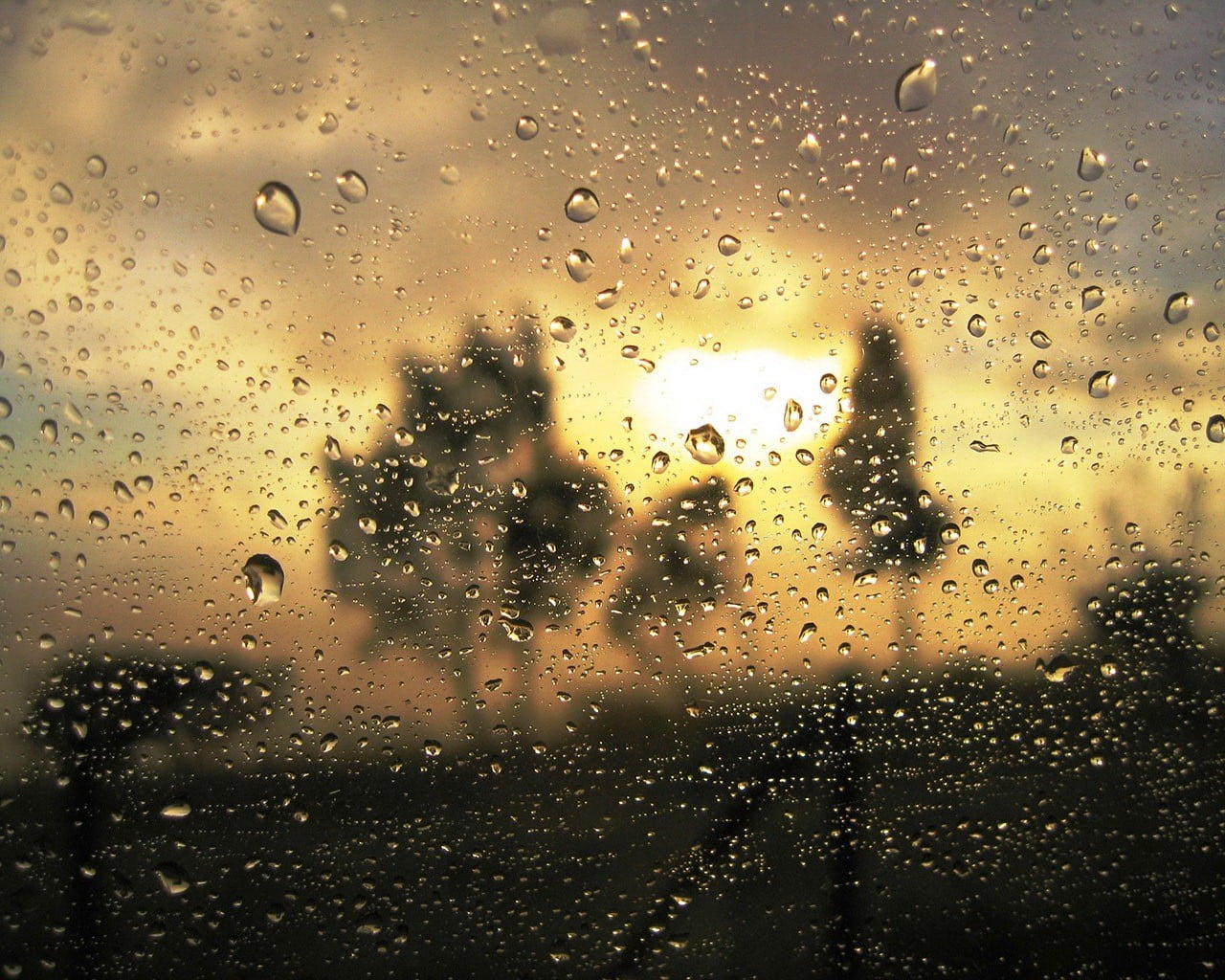 blue, rain, condensation, weather, focus on foreground, car, street, sunset, wet, gold, windshield, 720P, vehicle interior, looking Through Window, turbidity, HD Wallpaper