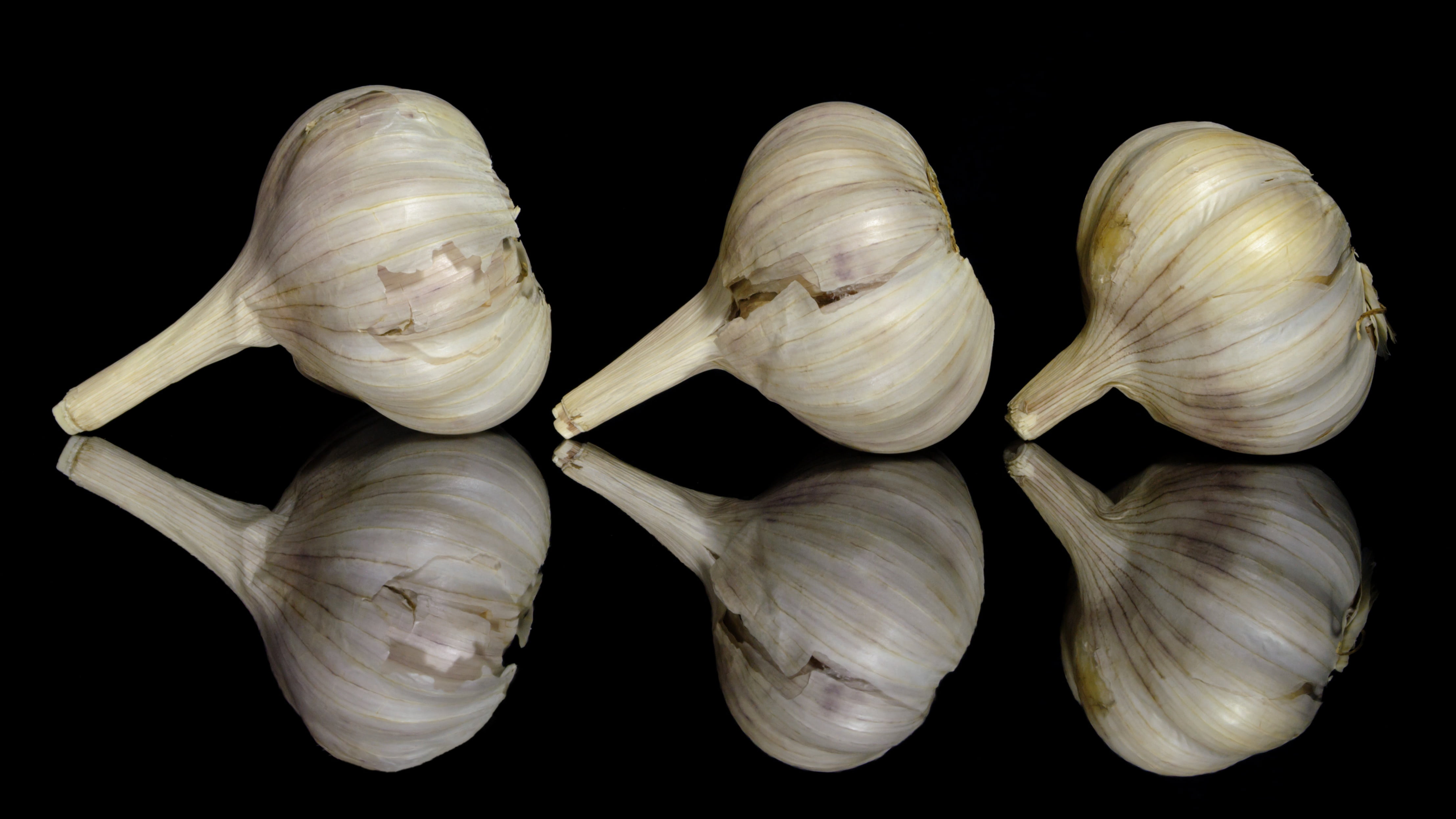 garlic bulb, ingredient, garlic, white color, wellbeing, freshness, group of objects, spice, indoors, taste, studio shot, food and drink, healthy eating, HD Wallpaper