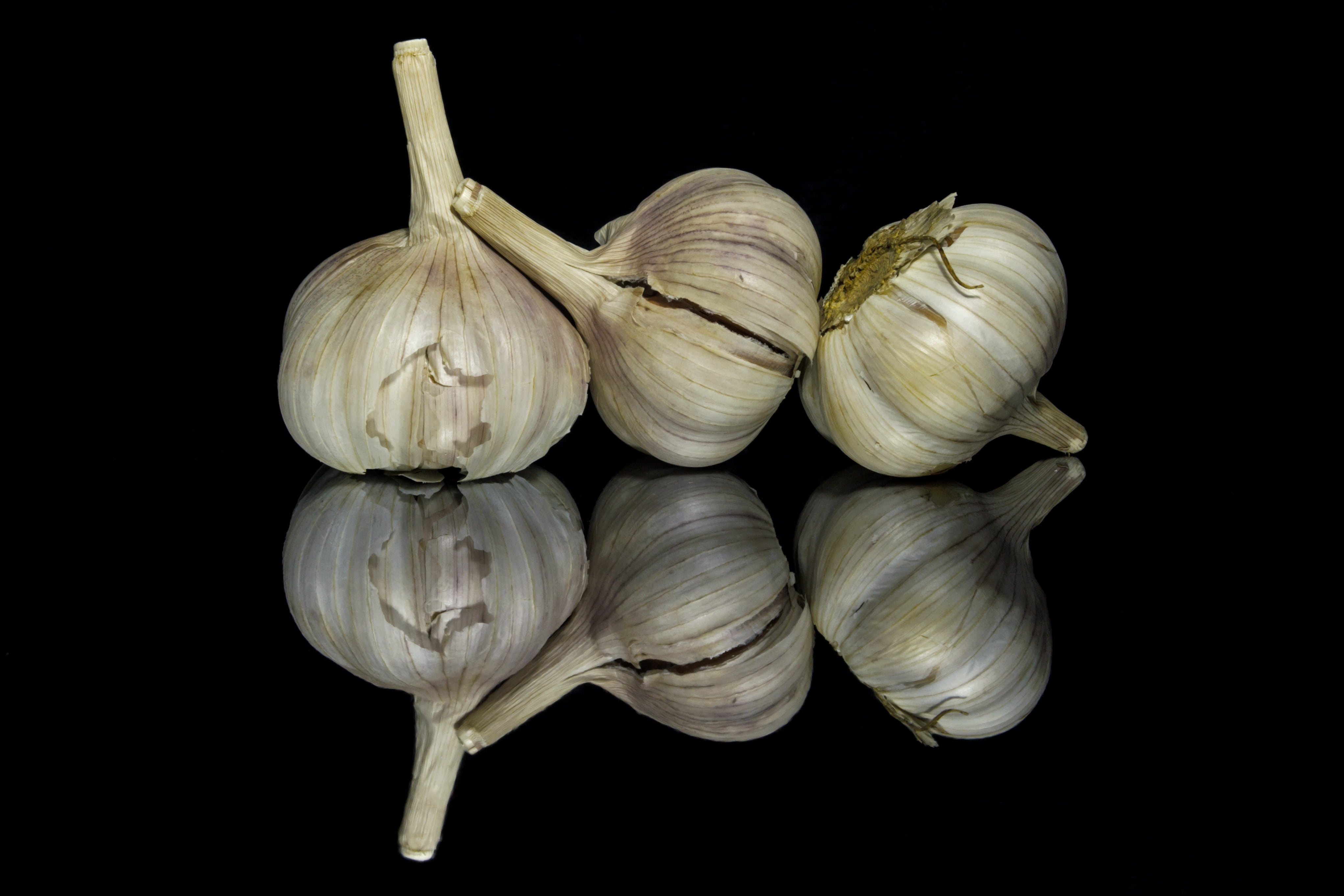 studio shot, 4K, odor, healthy eating, raw food, garlic clove, vegetables, garlic bulb, freshness, black background, white color, priprava, food and drink, HD Wallpaper