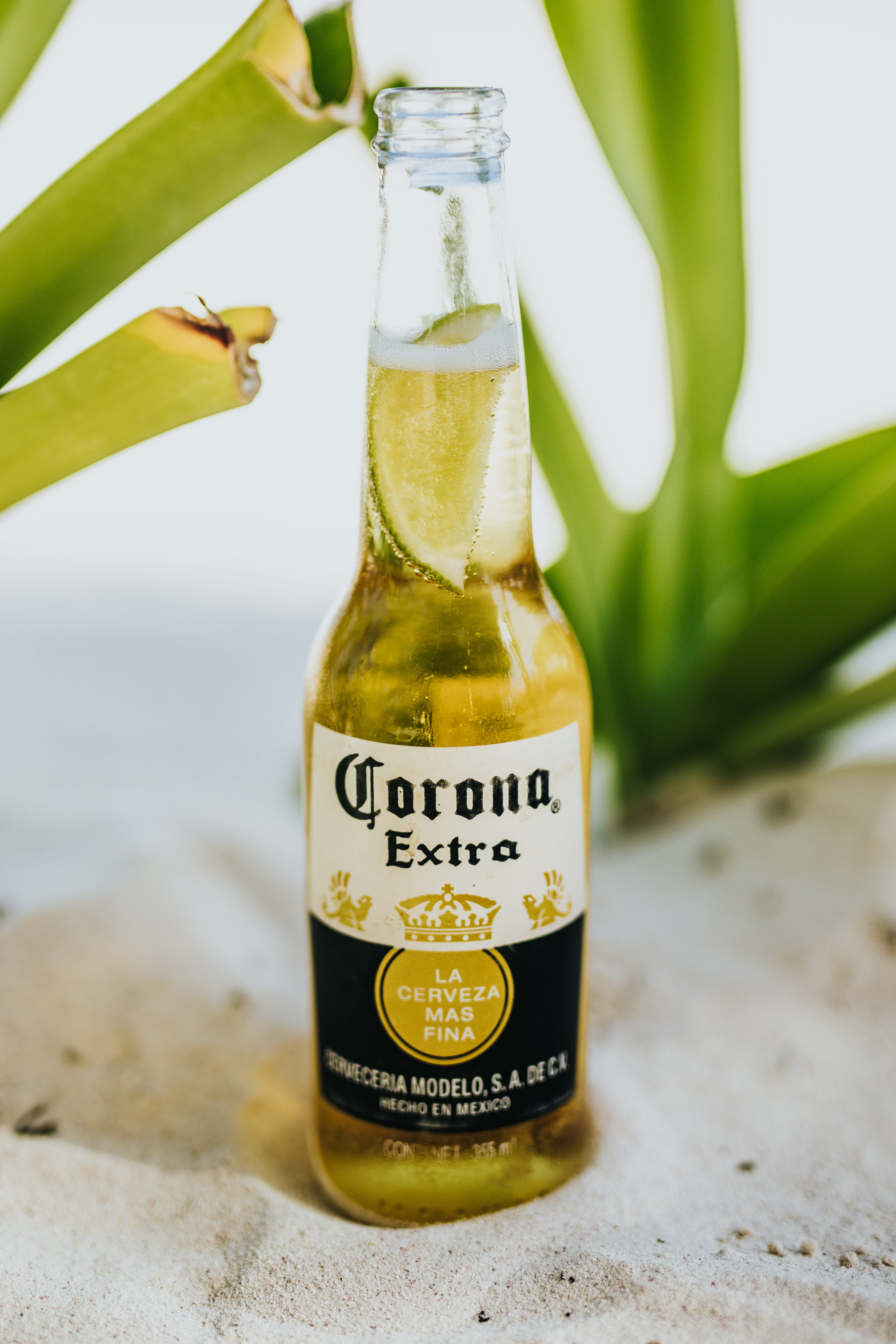 plant, label, citrus fruit, seasoning, drink, pop bottle, communication, extra, banana, glass - material, oil, syrup, beer bottle, alcohol, day, transparent, Phone HD Wallpaper