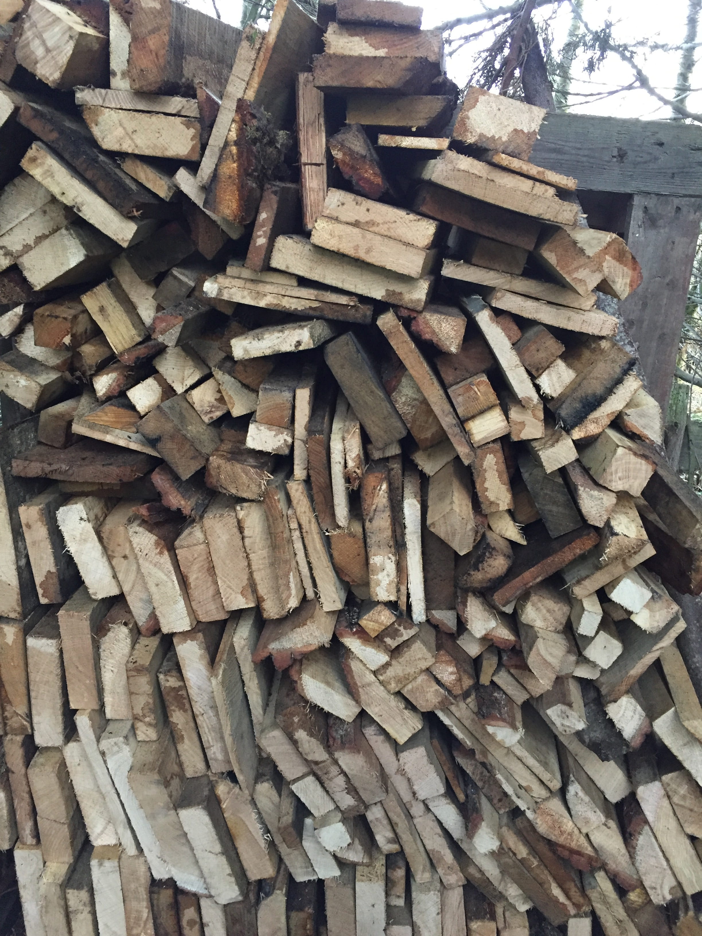 2K, sawn, united kingdom, texture, deforestation, ashford, trees, chopped, winter, tree, background, still life, forest, warmer, log, heap, wood - material, Phone HD Wallpaper