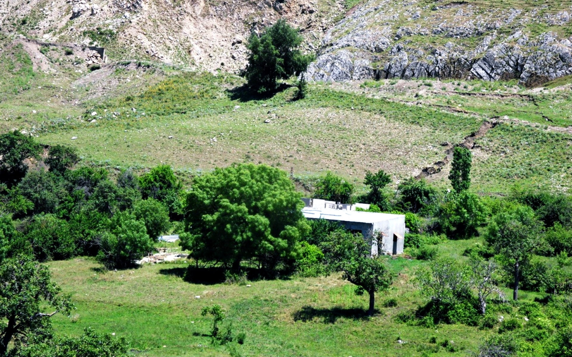 Photography, House, Tree, Farm, Algeria, Landscape, 1080P, Nature, Countyside, Souk Ahras, HD Wallpaper