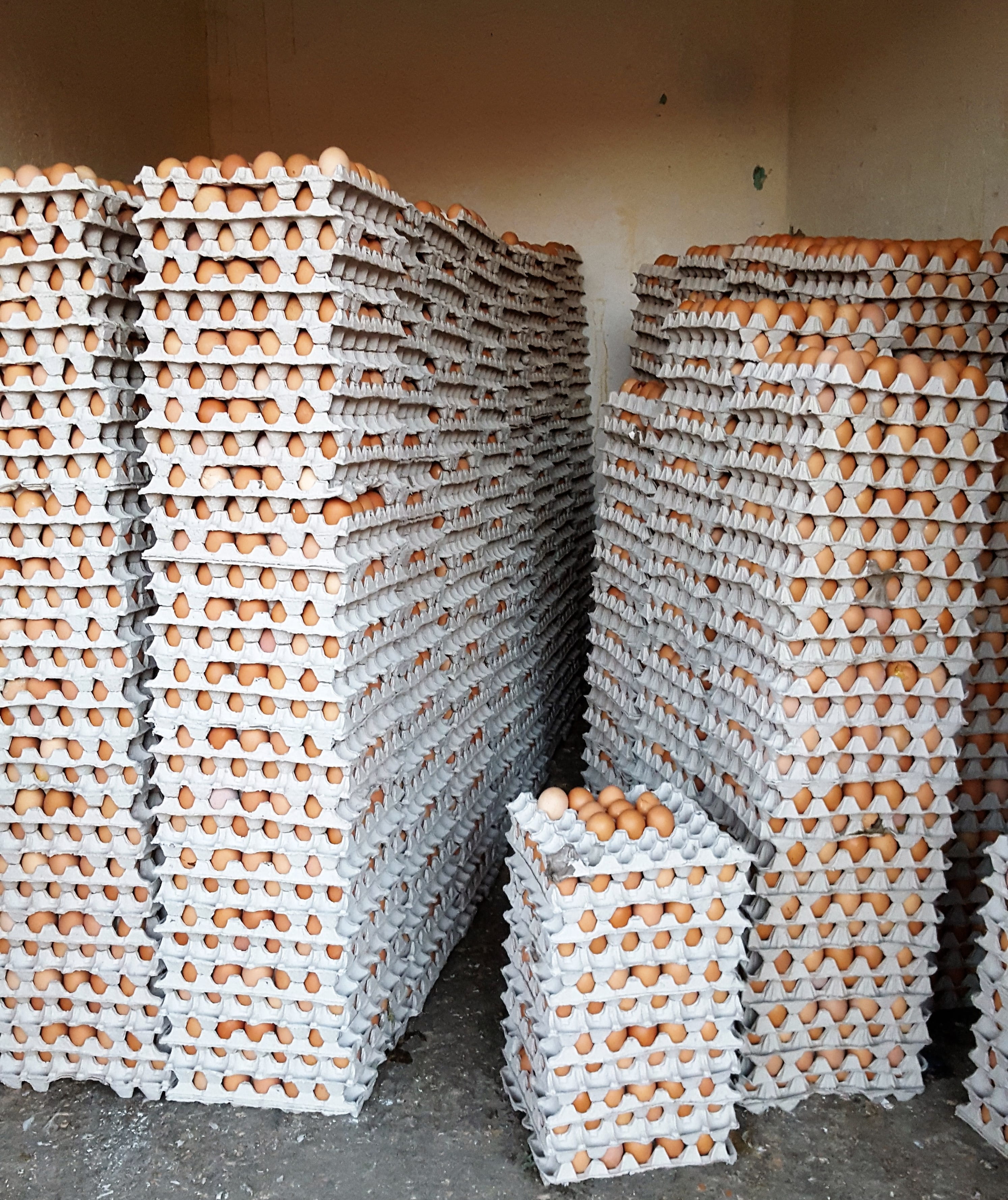 Souk, abundance, Morocco, Marrakech, basket, choice, food, pattern, 2K, stack, for sale, Market, indoors, domestic room, variation, food and drink, large group of objects, Phone HD Wallpaper