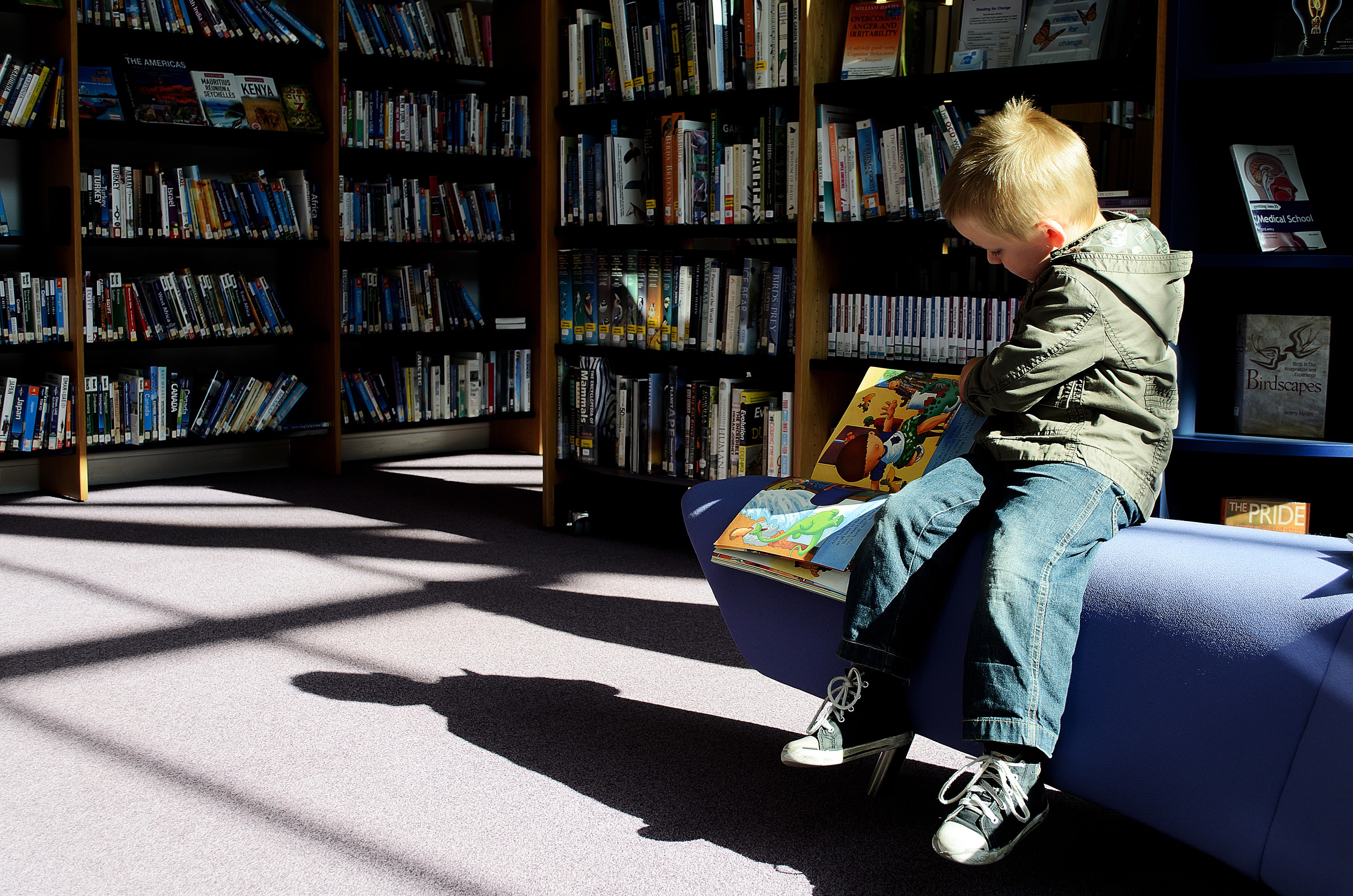 publication, one person, young, reading, leisure activity, shadow, sitting, portrayal, portrait, 2K, indoors, kid, look, jacket, library, background, textbooks, HD Wallpaper