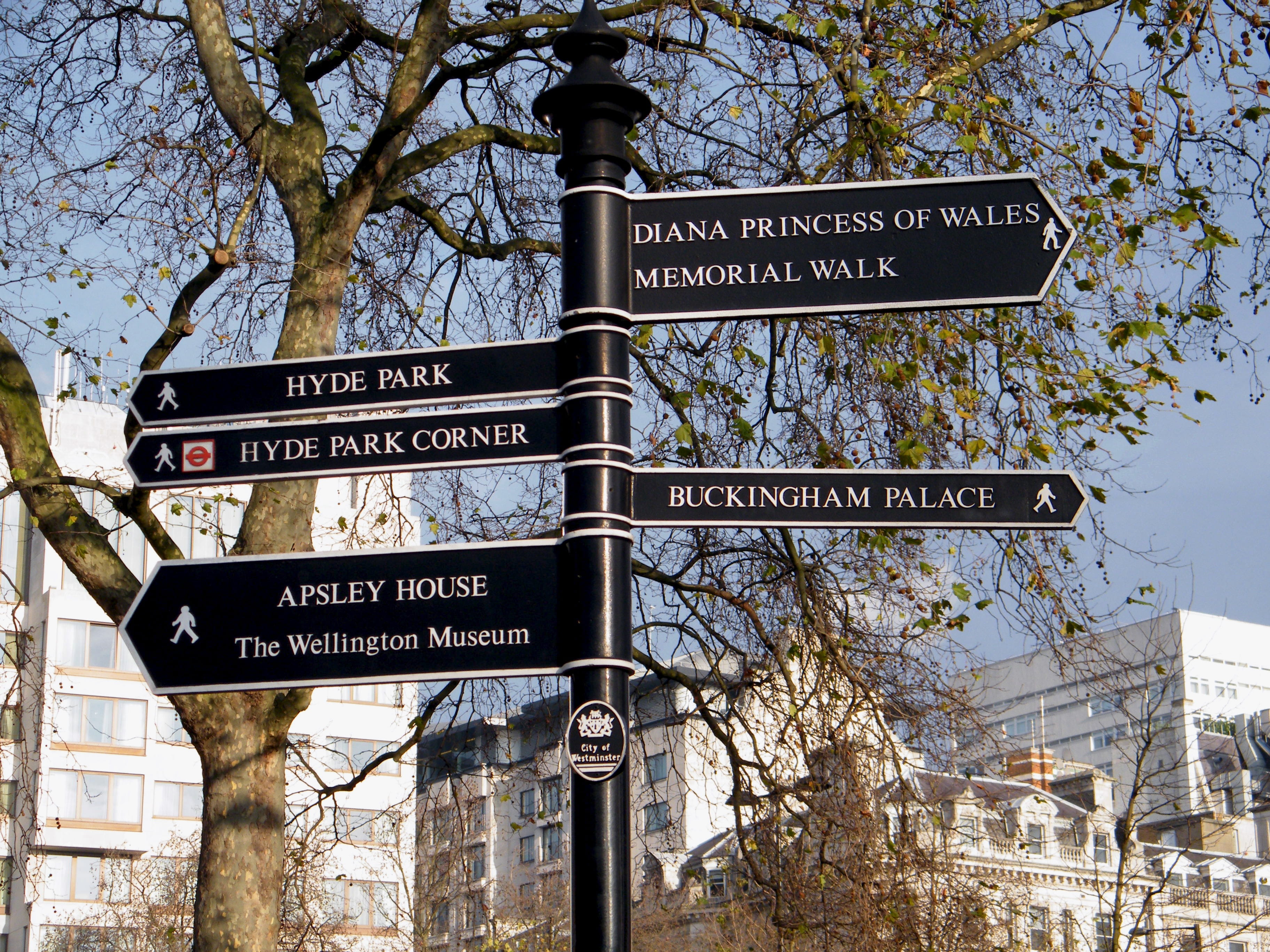 low angle view, sign, outdoors, western script, information sign, tree, architecture, shield, text, homes, city, holiday, road sign, street name sign, London, HD Wallpaper