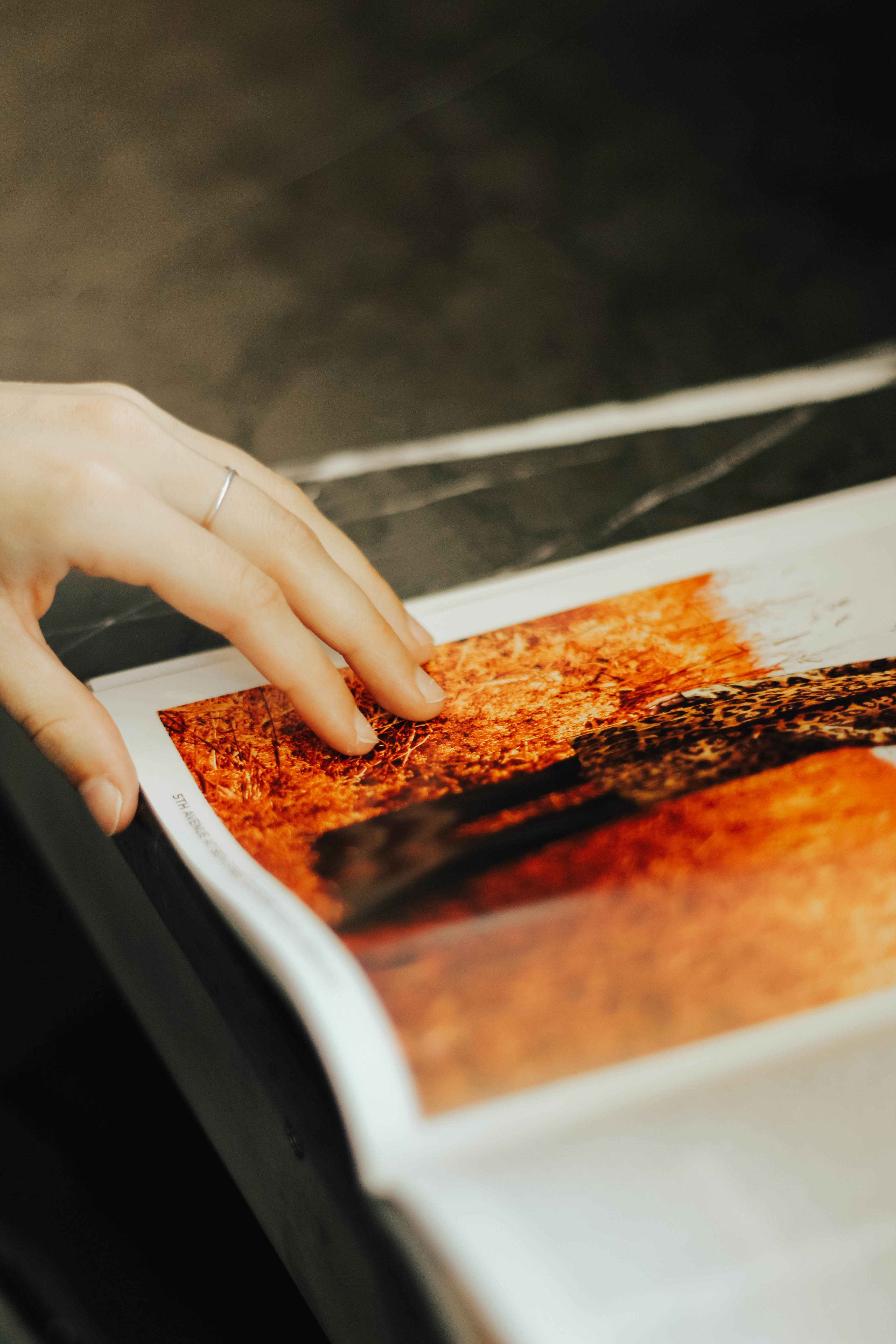 food and drink, book, one person, preparing food, 5K, honey, holding, real people, preparation, human limb, high angle view, lasagna, seasoning, petal, Phone HD Wallpaper