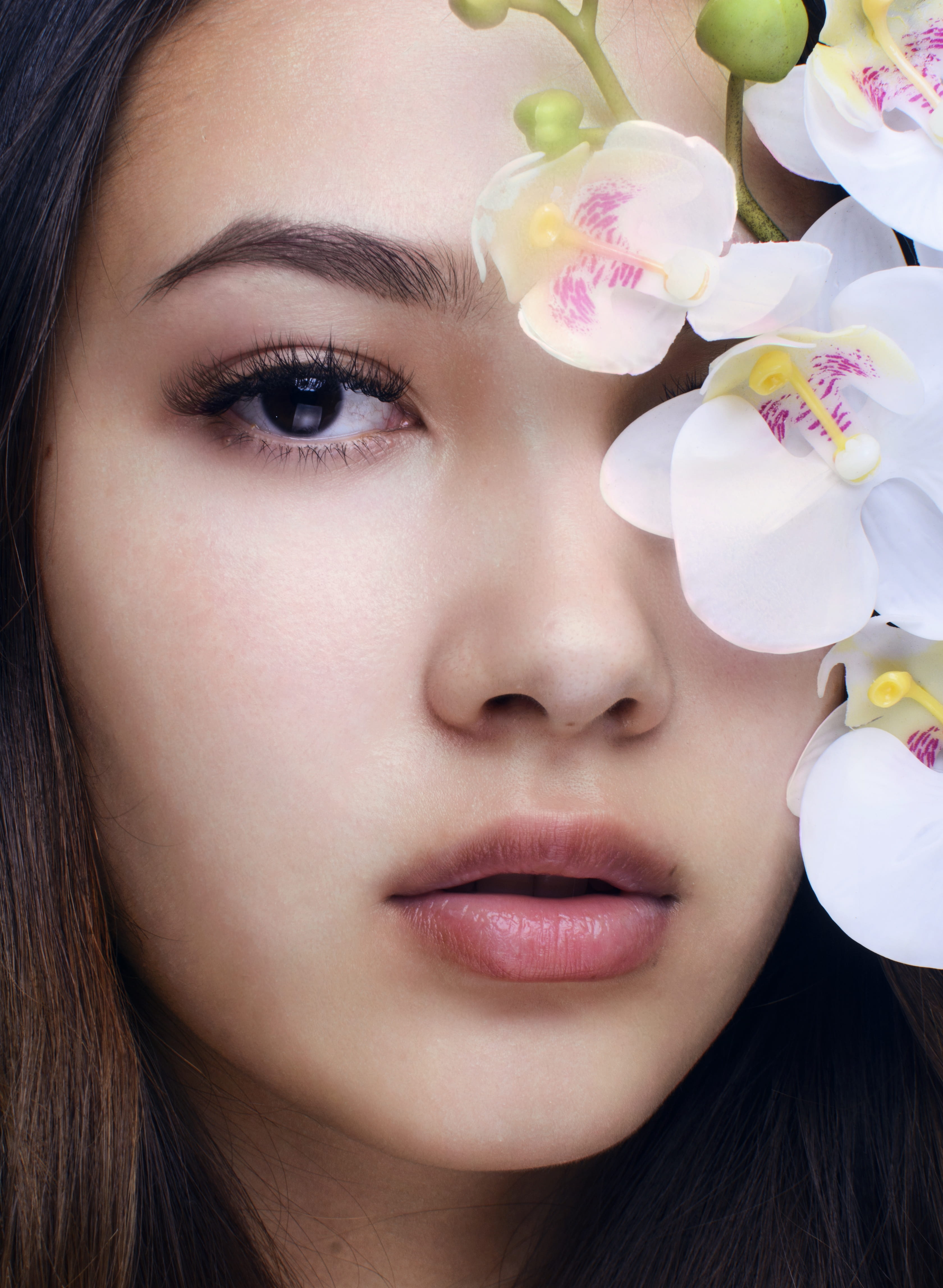 confectionery, hairstyle, woman, headshot, white, adult, human, sweets, close-up, blossom, food, real people, flower, young adult, human face, daisy, mouth, Phone HD Wallpaper