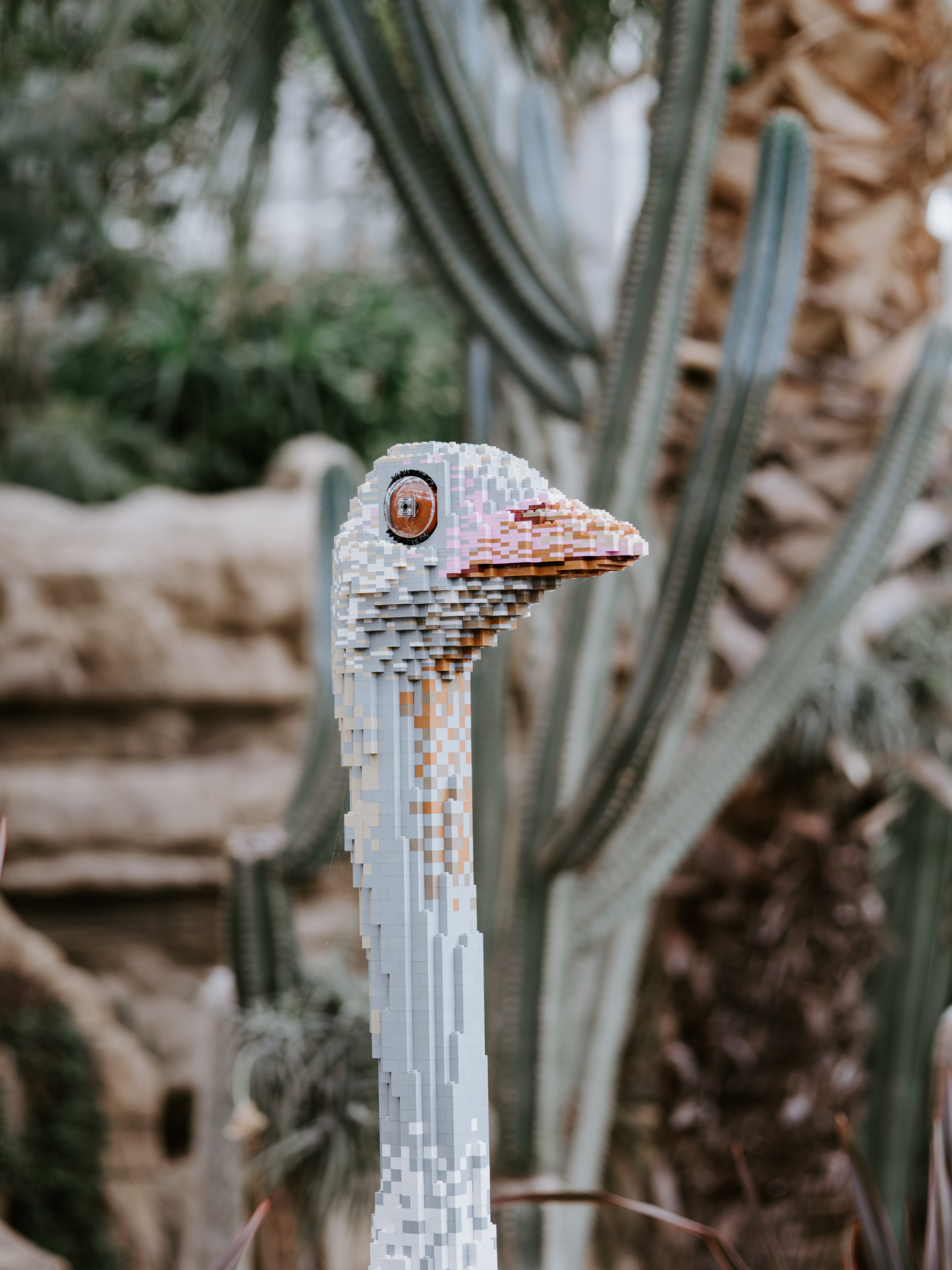 day, tree, outdoors, blossom, nature, animal head, land, 8K, focus on foreground, weaponry, no people, reptile, plant, bird, stick, racket, pez dispenser, Phone HD Wallpaper