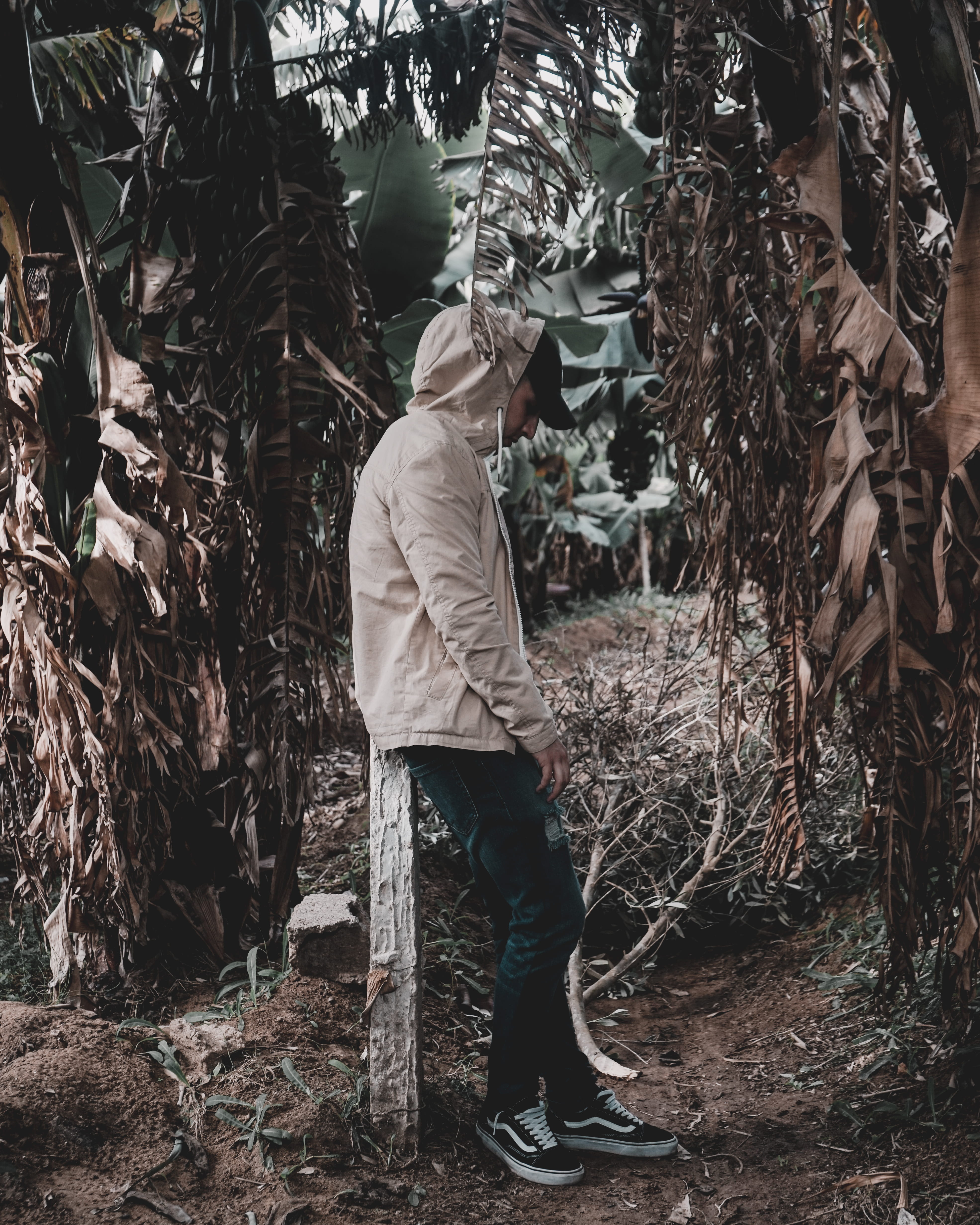 unsplash, instagram, streetwear, one person, mensfashion, menswear, men’s wear, photographer, real people, full length, day, tree, clothes, nature, rear view, Phone HD Wallpaper
