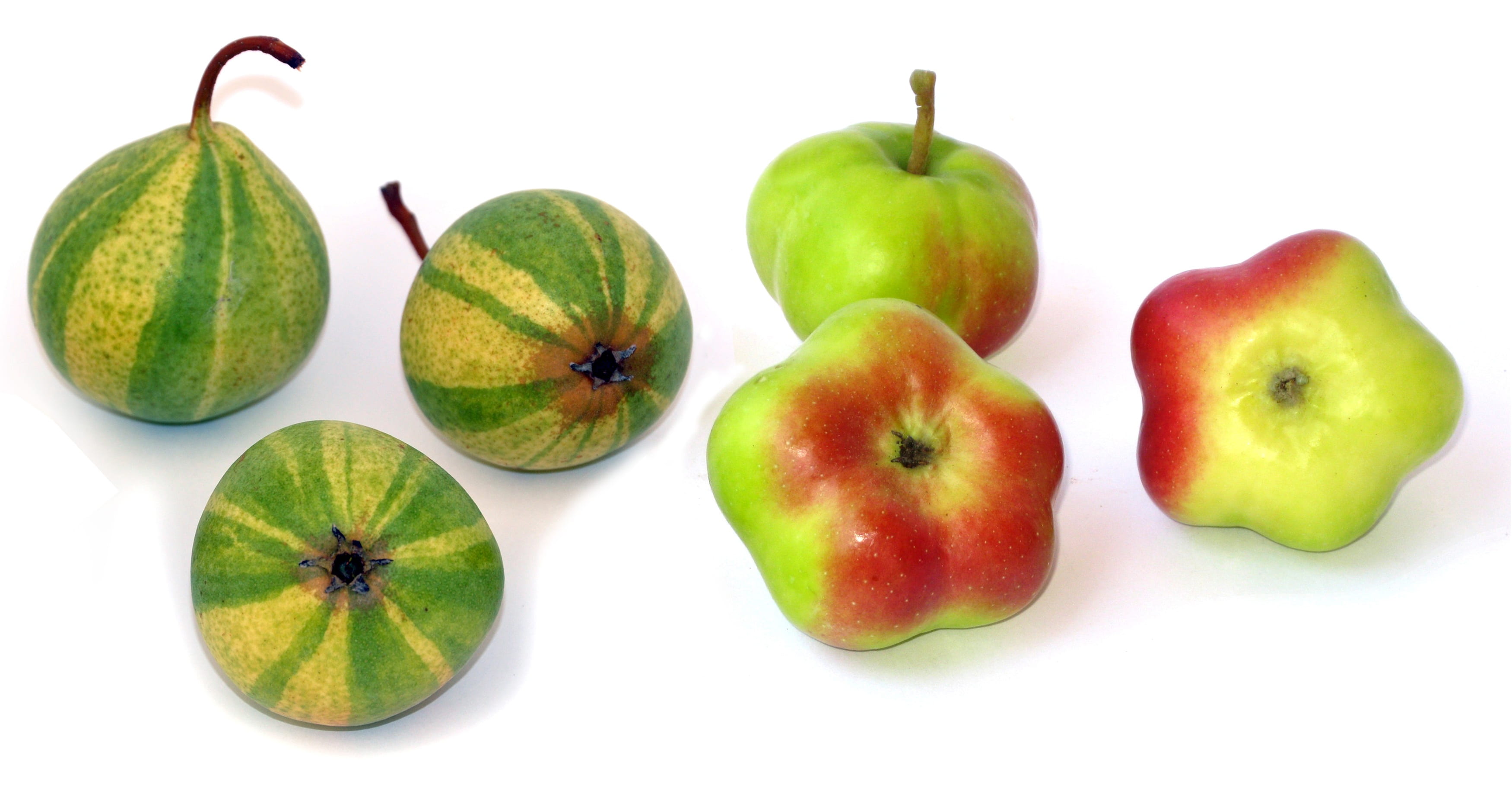 api etoilée, food, cut out, pear, healthy eating, no people, apple, freshness, red, group of objects, ripe, wellbeing, organic, indoors, green color, three objects, HD Wallpaper