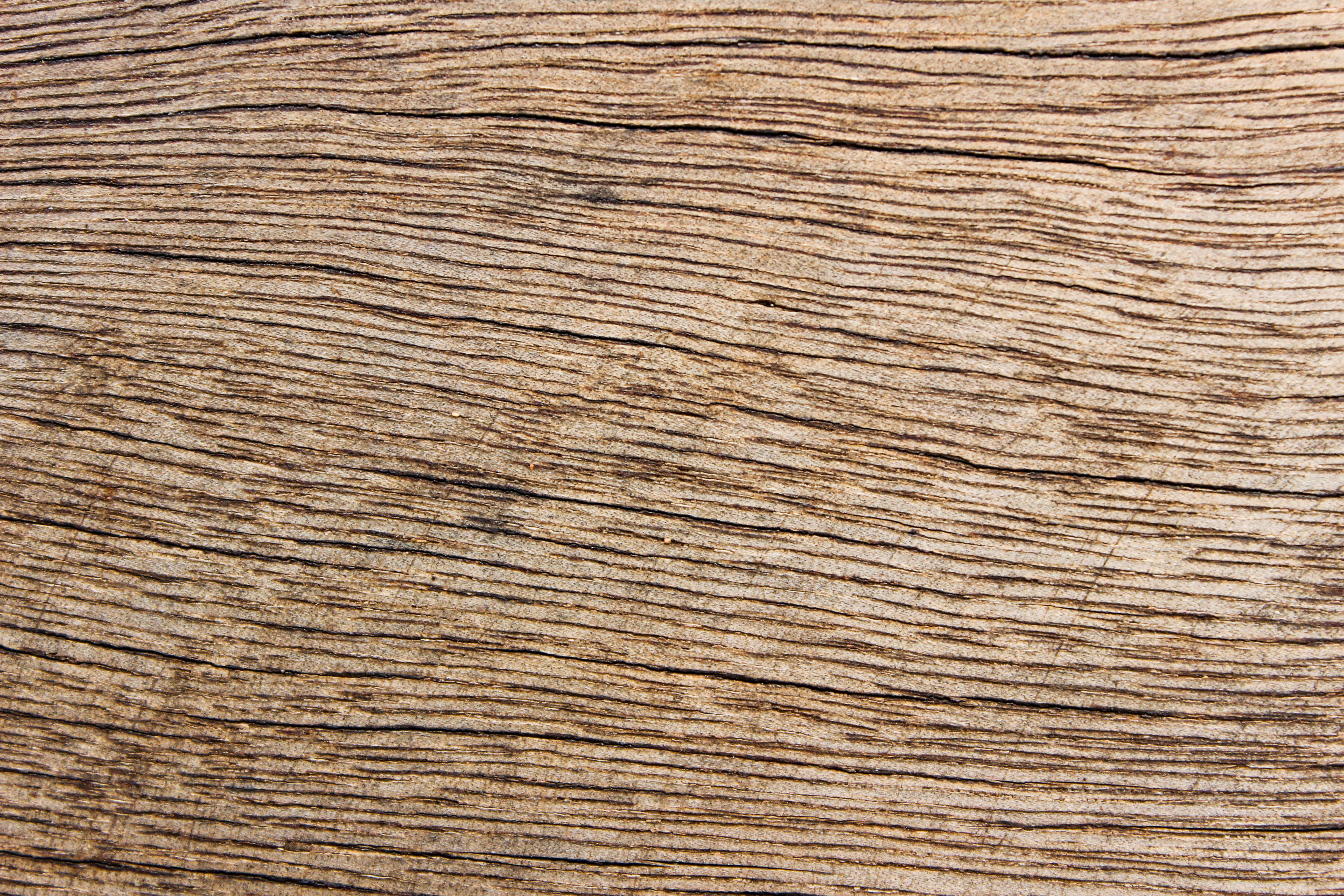 wood - material, rock, sheet music, wood grain, siding, brown, lumber, engraving, textured, antique, driftwood, blank, plywood, full frame, tar, plank, HD Wallpaper