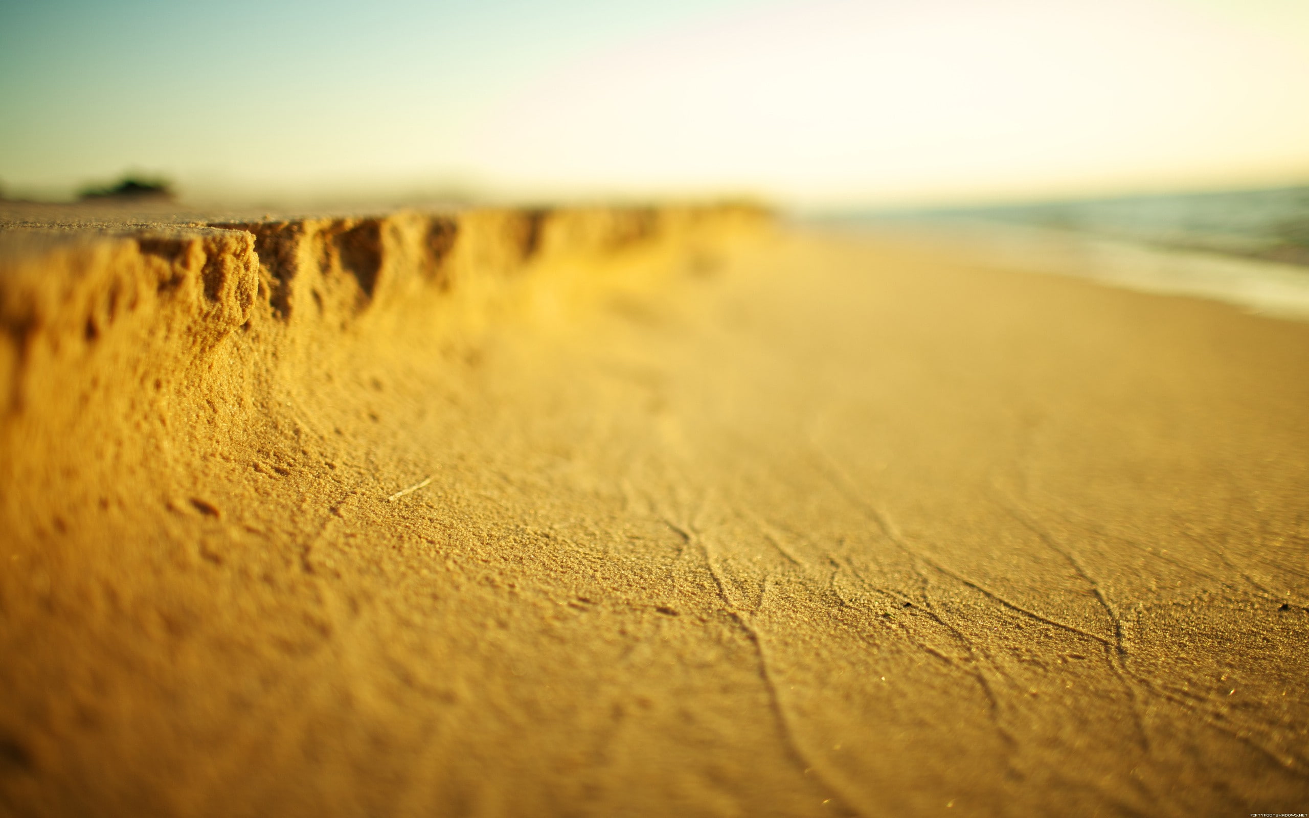 tilt, beach, shift, brown, hd, sand, nature, 2K, macro, HD Wallpaper