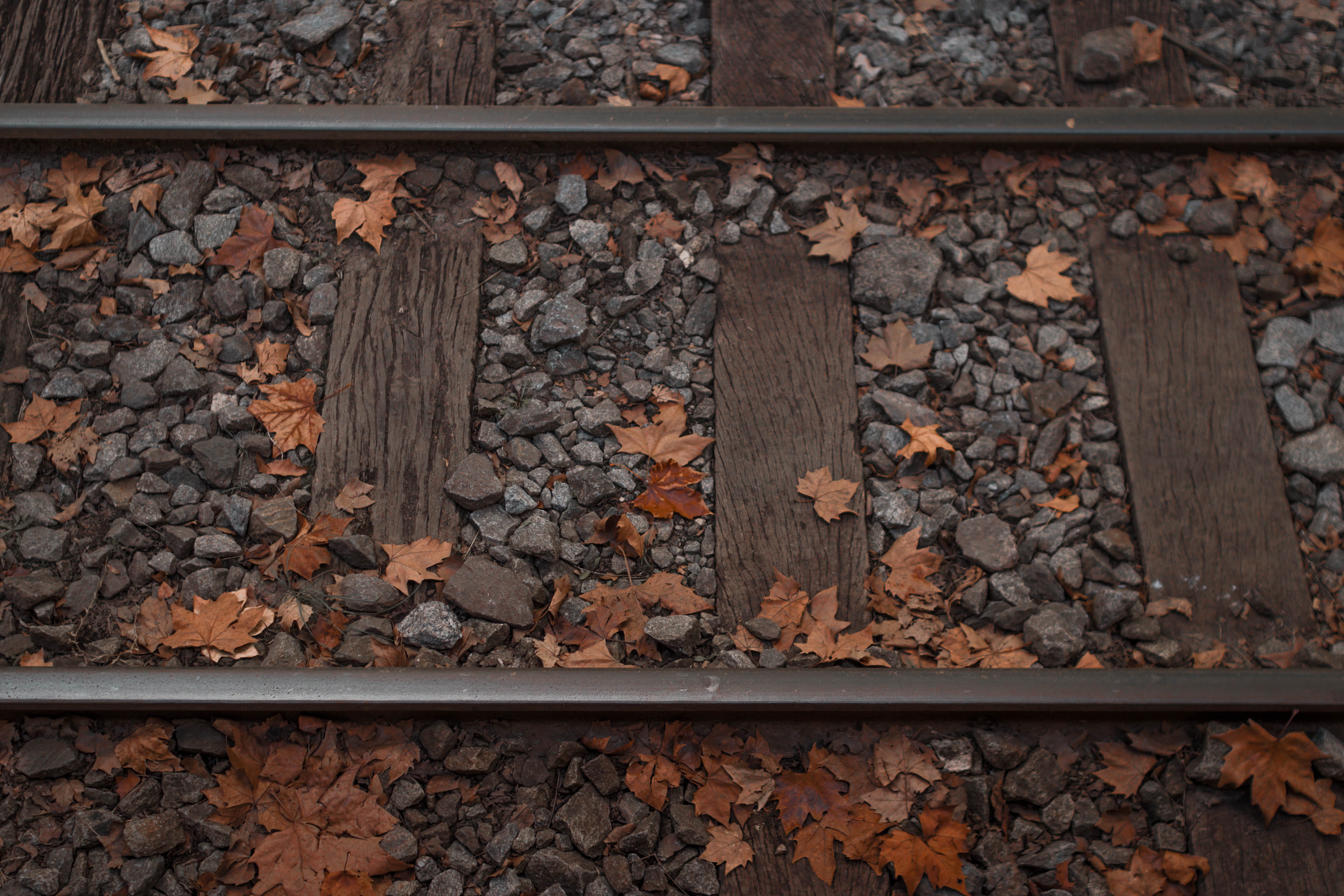 tracks, leaf, backgrounds, railing, outdoors, season, outdoor, background, dried, street, stones, train, 4K, railroad Track, pattern, rail, HD Wallpaper